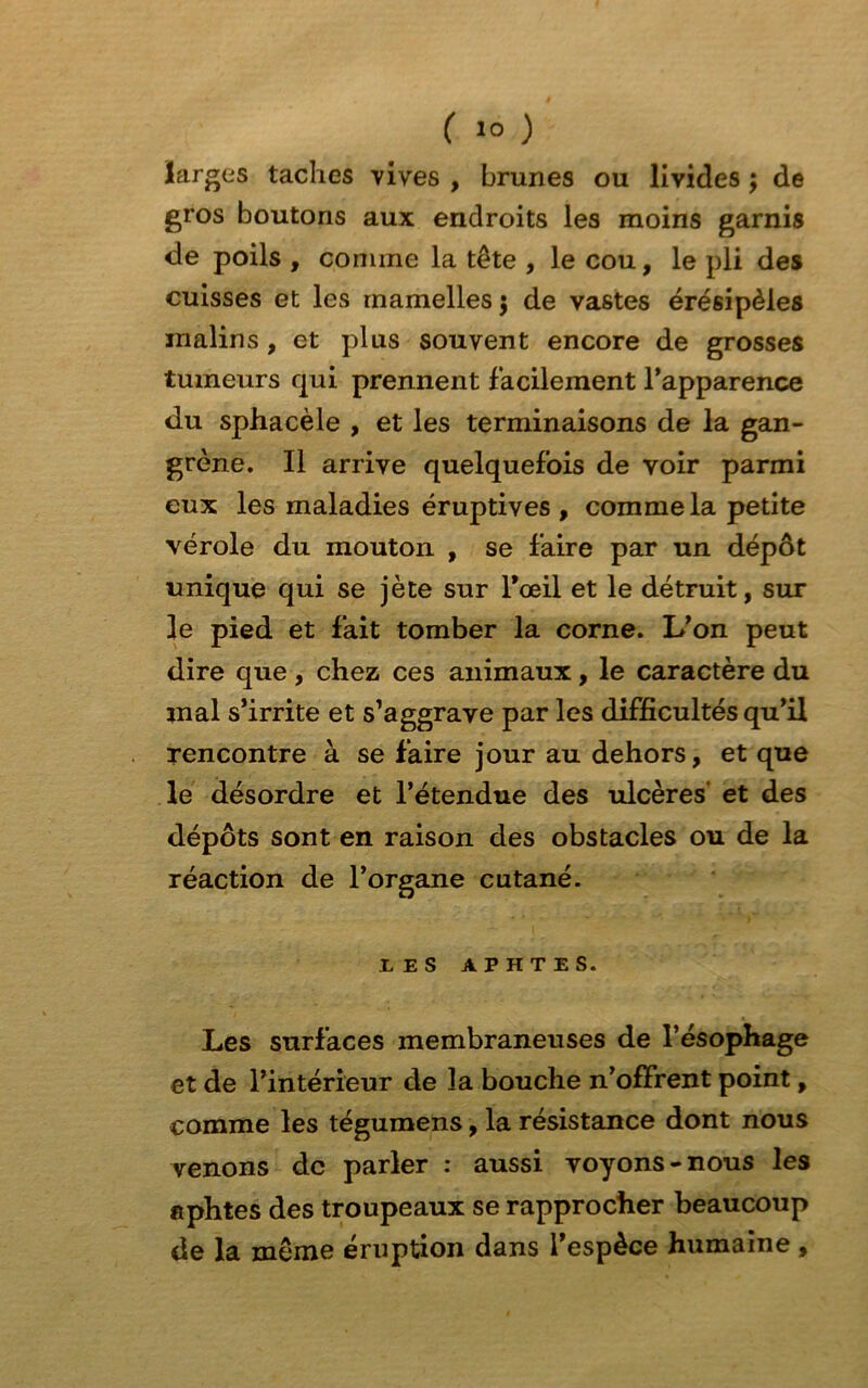 larges taches vives , brunes ou livides ; de gros boutons aux endroits les moins garnis de poils , comme la tête , le cou, le pli des cuisses et les mamelles 5 de vastes érésipèles malins, et plus souvent encore de grosses tumeurs qui prennent f acilement l’apparence du sphacèle , et les terminaisons de la gan- grène. Il arrive quelquefois de voir parmi eux les maladies éruptives, comme la petite vérole du mouton , se faire par un dépôt unique qui se jète sur l*œil et le détruit, sur le pied et fait tomber la corne. L’on peut dire que , chez ces animaux, le caractère du mal s’irrite et s’aggrave par les difficultés qu’il rencontre à se faire jour au dehors, et que le désordre et l’étendue des ulcères’ et des dépôts sont en raison des obstacles ou de la réaction de l’organe cutané. E E S APHTES. Les surfaces membraneuses de l’ésophage et de l’intérieur de la bouche n’offrent point, comme les tégumens, la résistance dont nous venons de parler : aussi voyons-nous les aphtes des troupeaux se rapprocher beaucoup de la même éruption dans l’espèce humaine,