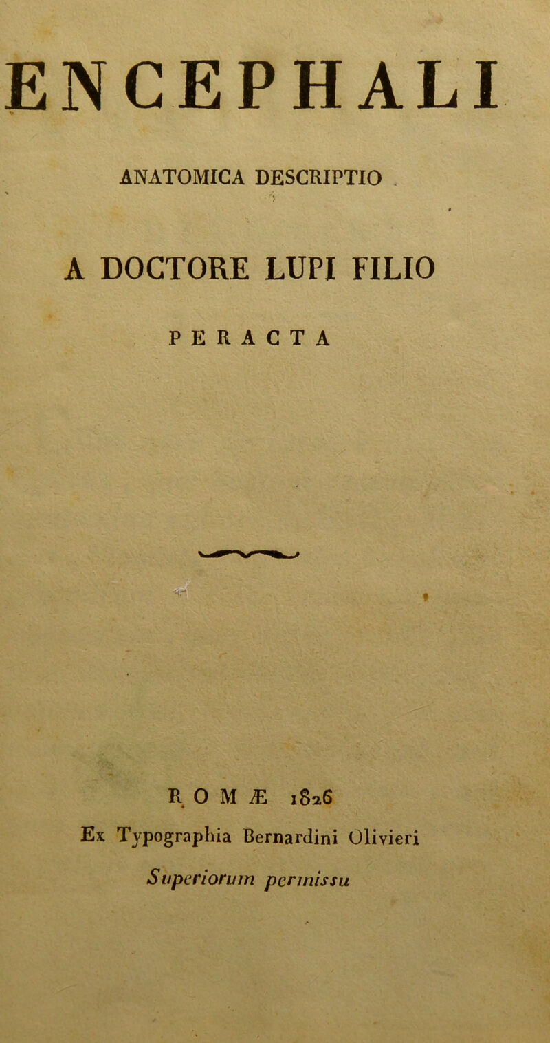 ENCEPHALI » ANATOMICA DESCRIPTIO è A DOCTORE LUPI FILIO PERACTA ... R 0 M SE 1826 Ex Typograpliia Bernardini Olivieri