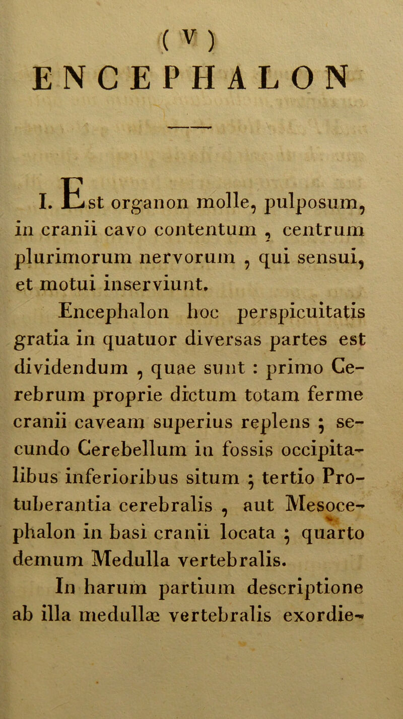 ENCEPHALON I. Est organon molle, pulposum, in cranii cavo contentimi , centrum plurimorum nervorum , qui sensui, et motui inserviunt. Encephalon hoc perspicuitatis gratia in quatuor diversas partes est dividendum , quae sunt : primo Ce- rebrum proprie dictum totam ferme cranii caveam superius replens 5 se- cundo Cerebellum in fossis occipita- libus inferioribus situm ; tertio Pro- tuberantia cerebralis , aut Mesoce- phalon in basi cranii locata ; quarto demum Medulla vertebralis. In harum partium descriptione ab illa medullte vertebralis exordie-