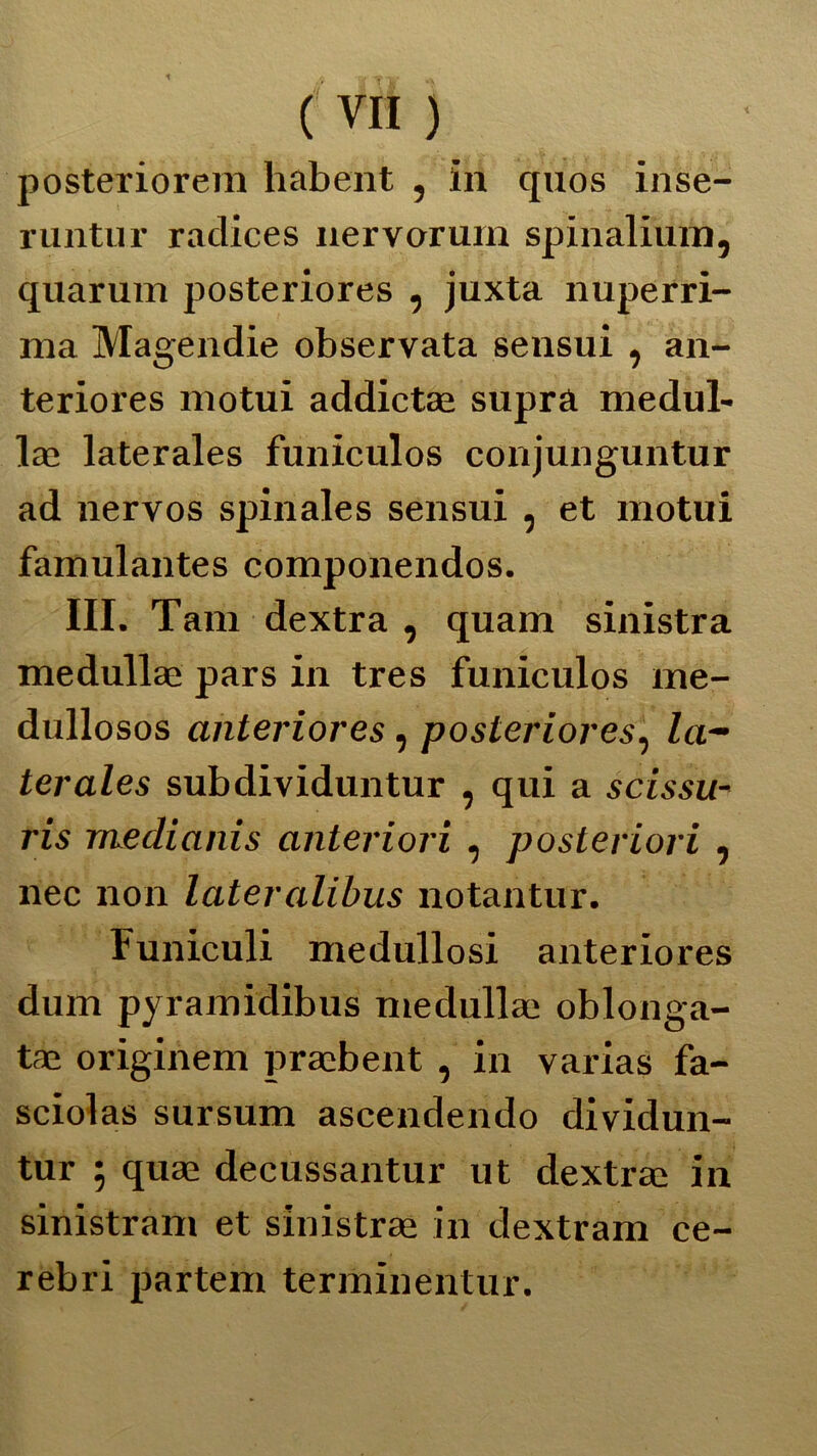 posteriorem habent , in quos inse- runtur raclices nervorum spinalium, quarum posteriores , juxta nuperri- ma Magendie observata sensui , an- teriores motui addictaa supra medul- las laterales funiculos conjunguntur ad nervos spinales sensui , et motui famulantes componendos. III. Tarn dextra , quam sinistra medullae pars in tres funiculos me- dullosos anteriores, posteriores, la- terales subdividuntur , qui a scissu- ris medianis anteriori , posteriori , nec non lateralibus notantur. Funiculi medullosi anteriores dum pyramidibus medullae oblonga- tae originem pracbent , in varias fa- sciolas sursum ascendendo dividun- tur ; quae decussantur ut dextrae in sinistram et sinistrali in dextram ce- rebri partem terminentur.