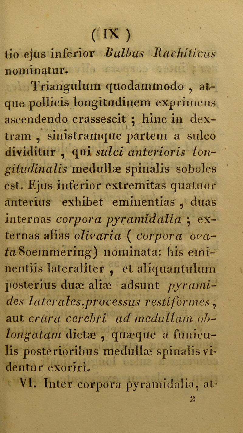 tio ejus inferior Bulbus Rachilicus nominatili*. Triangulum quodainmodo , at- que pollicis longitudinem exprimens ascendendo crassescit j hinc in dex- train , sinistramque partem a snlco dividitur , qui suiti anterioris lon- gitudinalis medullge spinalis soboles est. Ejus inferior extremitas quatuor anterius exhibet eminentias ì duas internas cor por a pyr amici alia j ex- ternas alias olivaria ( corpora oca- irtSoemmeriug) nominata: his erni- nentiis lateraliter , et aliquantulum posterius duas alia2 adsunt pyrami- des lateralesarocessus restifórrnes, aut crura cercini ad medullam ob- longatam dictac , quaeque a funicu- lis posterioribus maciulla? spinalis vi- dentùr exoriri. VI. Inter corpora pyramidalia, al-