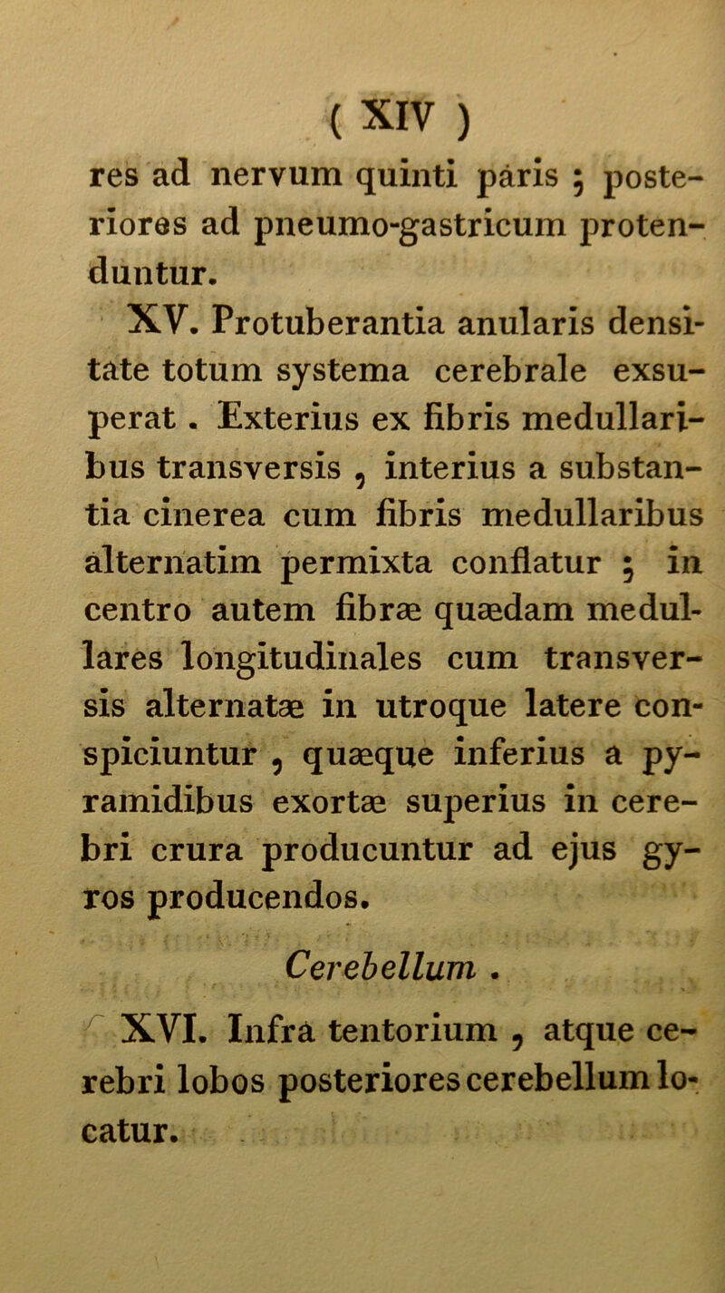 res ad nervum quinti pàris ; poste- riores ad pneumo-gastricum proten- duntur. XV. Protuberantia anularis densi- tate totum systema cerebrale exsu- perat. Exterius ex fibris medullari- bus transversis , interius a substan- tia cinerea cum fibris medullaribus àlternatim permixta conflatur ; in centro autem fibrae quaedam medul- lares longitudinales cum transver- sis alternatae in utroque latere con- spiciuntur , quaaqne inferius a py- ramidibus exortae superius in cere- bri crura producuntur ad ejus gy- ros producendos. Cerebellum . XVI. Infra tentorium , atque ce- rebri lobos posteriores cerebellum lo- catur.