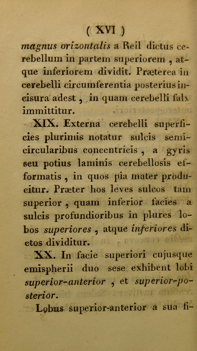 magnus orizontalis a Re il dictus ce- rebellum in partem superiorem , at- que inferiorem dividit. Praeterea in cerebelli circumferentia posteriusin- cisura adest, in quatti cerebelli fal>. immittitur. XIX. Externa cerebelli superfi- cies plurimis notatur sulcis senri- circolar ibus concentricis , a gyris seu potius laminis cerebellosis ef- formatis , in quos pia mater produ- citur. Praeter hos leves sulcos tam superior , quam inferior facies a sulcis profundioribus in plures lo- bos superiores , atque inferior e s di- ctos dividitur. * '  ; — XX. In facie superiori cujusque emispherii duo sese exhibent lobi superior-anterior , et superior-po- sterior. Lobus Superior-anterior a sua li-