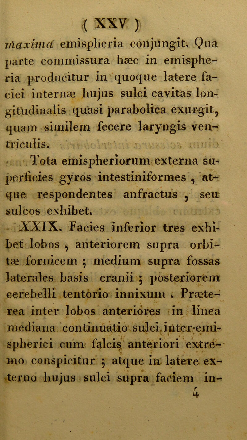 vlaximct emispheria conjungit, Qua parte commissura hcec in emisphe- ria producitur in quoque latere fa- ciei internai hujus sulci cavitas lon- gitudinalis quasi parabolica exurgit, quam similem fecere laryngis ven- tricujis. . ' Tota emispherìorum externa su- periieies gyros intestiniformes , at- que respondentes anfractus , seu sulcos exhibet. AAIX. Facies ìnferior tres exhi- bet lobos , anteriorein supra orbi- tai fornicem $ medium supra fossas laterales basis cranii 5 posteriorem eerebelli tentorio innixum » Praite- rea inter lobos anteriores in linea mediana continuàtio sulci. itìter-emi- , * ' . r V i ‘ * r • »* • 4 - spherici cum falcis. anteriori extre- ino conspicitur , atque in latere ex- terno hujus sulci supra faeiem m- 4