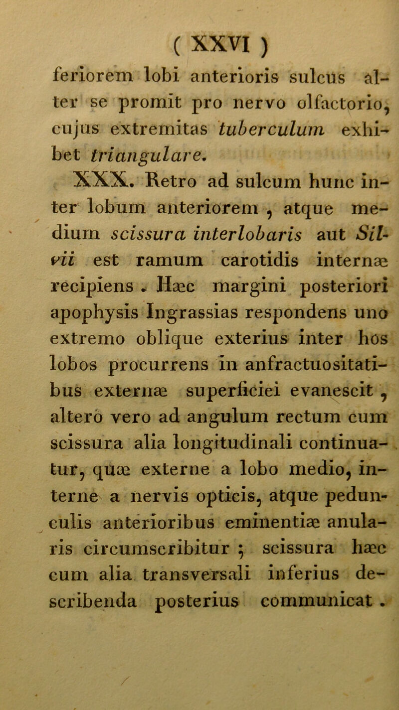 feriorem lobi anteriori^ sulcus al- ter se promit prò nervo olfactorio, cujus extrernitas tuberculum exhi- bet triangulare. XXX. Retro ad sulcum hunc in- ter lobum anteriorem , atque me- dium scissura interlobaris aut Sii- vii est ramum carotidis internai recipiens . Haec margini posteriori apophysis Ingrassias respondens uno extremo oblique exterius inter hos lobos procurrens in anfractuositati- bus externae superficiei evanescit , alterò vero ad angulum rectum cum scissura alia longitudinali continua- tur, quce externe a lobo medio, in- terne a nervis opticis, atque pedun- culis anterioribus eminentiae anula- ris circumscribitur ; scissura haec cum alia transversali inferius de- scribenda posterius communicat .