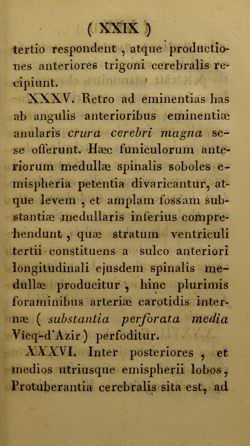 » tertio respondent , atque productio- nes anteriores trigoni cerebralis re- cipiunt. XXXV. Retro ad eminentias has ab angulis anterioribus eminentias anularis crura cerebri magna se- se offerunt. Haec funiculorum ante- riorum medullae spinalis soboles e- mispheria petentia divaricantur, at- que leverà , et amplam fossam sub- stantia; (inedullaris inferius compre- hendunt , qua; straluna ventriculi tertii constituens a sulco anteriori longitudinali ejusdem spinalis me- dullae producitur , bine plurimis foraminibus arteria; carotidis inter- na; ( substantia perforata media Vicq-d’Àzir) perfoditur. JÓXXVh Inter posteriores , et medios utriusque emispherii lobos, Protuberantia cerebralis sita est, ad