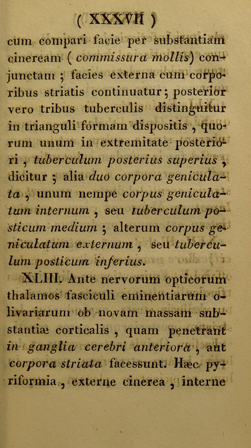 cum compari facie pet substantiam cineream ( commissur a mollis) con- junctam ; facies externa cum corpo- ribus striatis continuatur ; posterior vero tribus tuberculis distinguifcur in trianguli formala dispositis , quo- rum unum in extrciuitate-posteria ri , tuberciilum posterius supérius r dicitur $ alia duo corpora genicttlà- ta , unum ne rape corpusgeni cuia+' tura internimi, seu tuberculum pò*' sticum medium } alterum corpus ge~- inculatimi cxternum , seu tuberéu- lum posti cum injerius. < . - < XLI1I. An ite nervorum optieoruin th ala m os faseieuli eniineiitiaruin o- livariarum ob novam massàia sub- stantiaì corticalis , quam penetrant in ganglio, cerebri anteriofày&.dt corpora striata facessunt.; Haec py- riformia;, externe cinèrea , 'interne