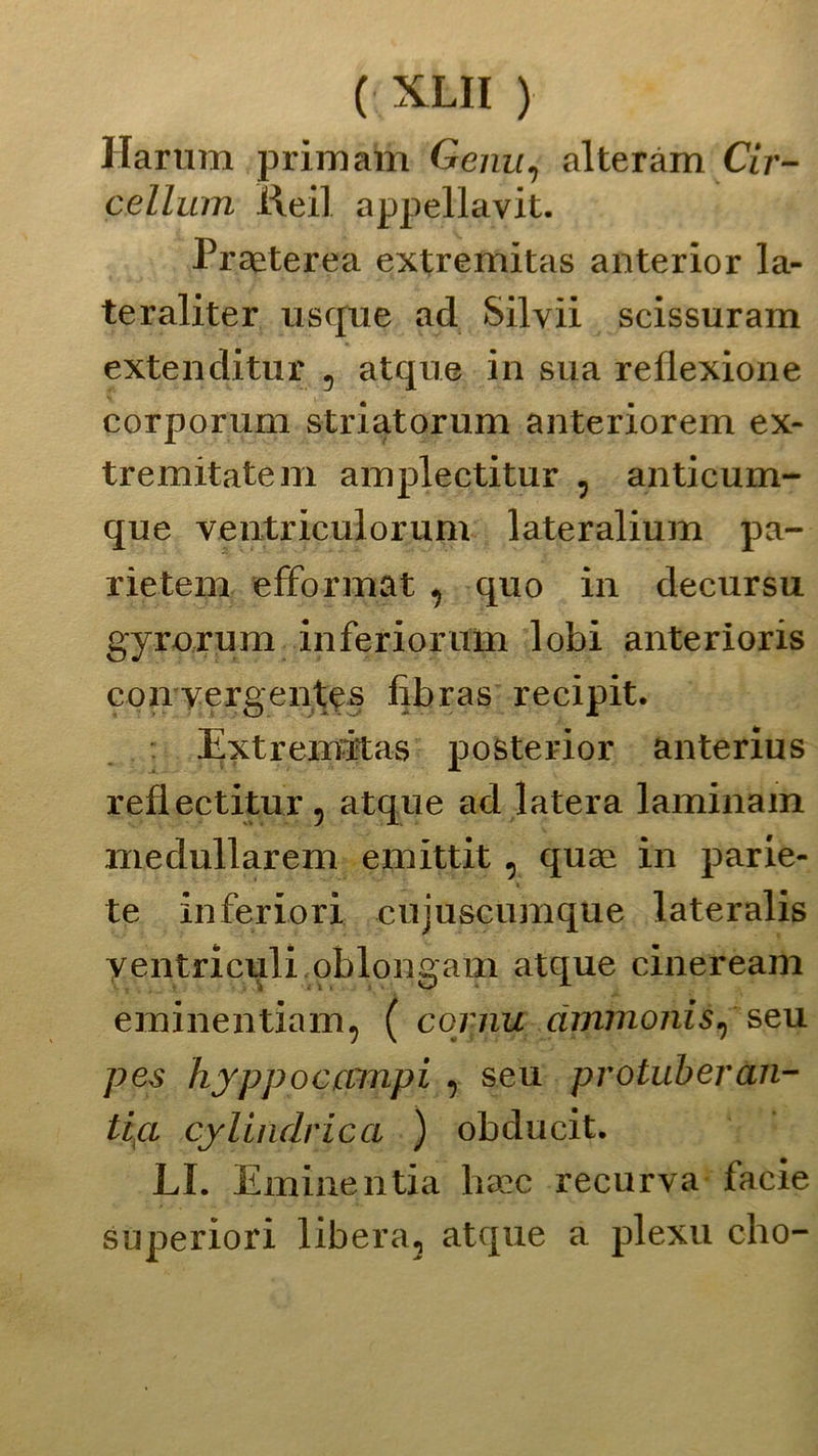 Harum primahi Genu, alteràm Cir- cellum ìlei] appellavi!. Praeterea extremitas anterior la- teraliter usque ad Silvi! scissuram extenditur , atque in sua reflexione corporum striatorum anteriorem ex- tremitatem amplectitur , anticum- que ventriculorum lateralium pa- rie tem efformat , quo in decursu gyrorum inferiorum lobi anterioris con vergente s fibras recipit. Extremitas posterior anterius refiectitur, atque ad latera laminam medullarem emittit, quae in parie- te inferiori cujuscumque lateralis yentriculi oblongam atque cinerearti eminentiam, ( cornu drnrnonis^ seu pes hjppoccnnpi , seu protuberan- tica cilindrica ) obducit. LI. Eminentia haec recurva facie superiori libera, atque a plexu cho-