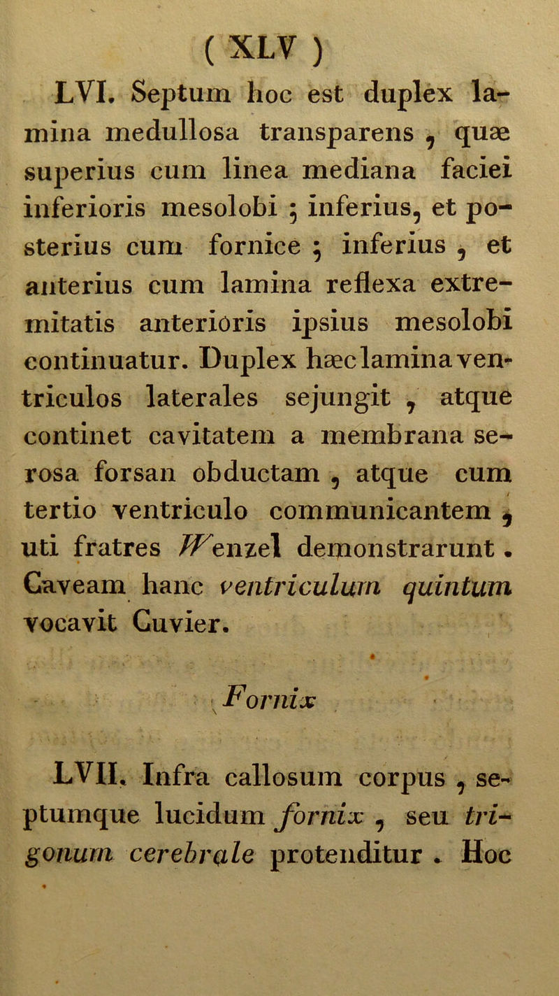 LVI. Septum hoc est duplex la- mina medulìosa transparens , quae superius cum linea mediana faciei inferioris mesolobi ; inferius, et po- sterius cum fornice ; inferius , et anterius cum lamina reflexa extre- mitatis anterioris ipsius mesolobi eontinuatur. Duplex haeclamina ven- triculos laterales sejungit , atque continet cavitatem a membrana se- rosa forsan obductam , atque cum tertio ventriculo communicantem , uti fratres ^enzel demonstrarunt. Caveam hanc ventriculurn quintum vocavit Guvier. . V \ • Fornix LVII. Infra callosum corpus , se- ptumque lucidum fornix , seu tri- gonum cerebrale protenditur » Hoc