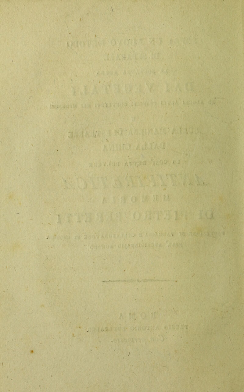 / V ' ; . ,1 yT' ■ . ' X 1