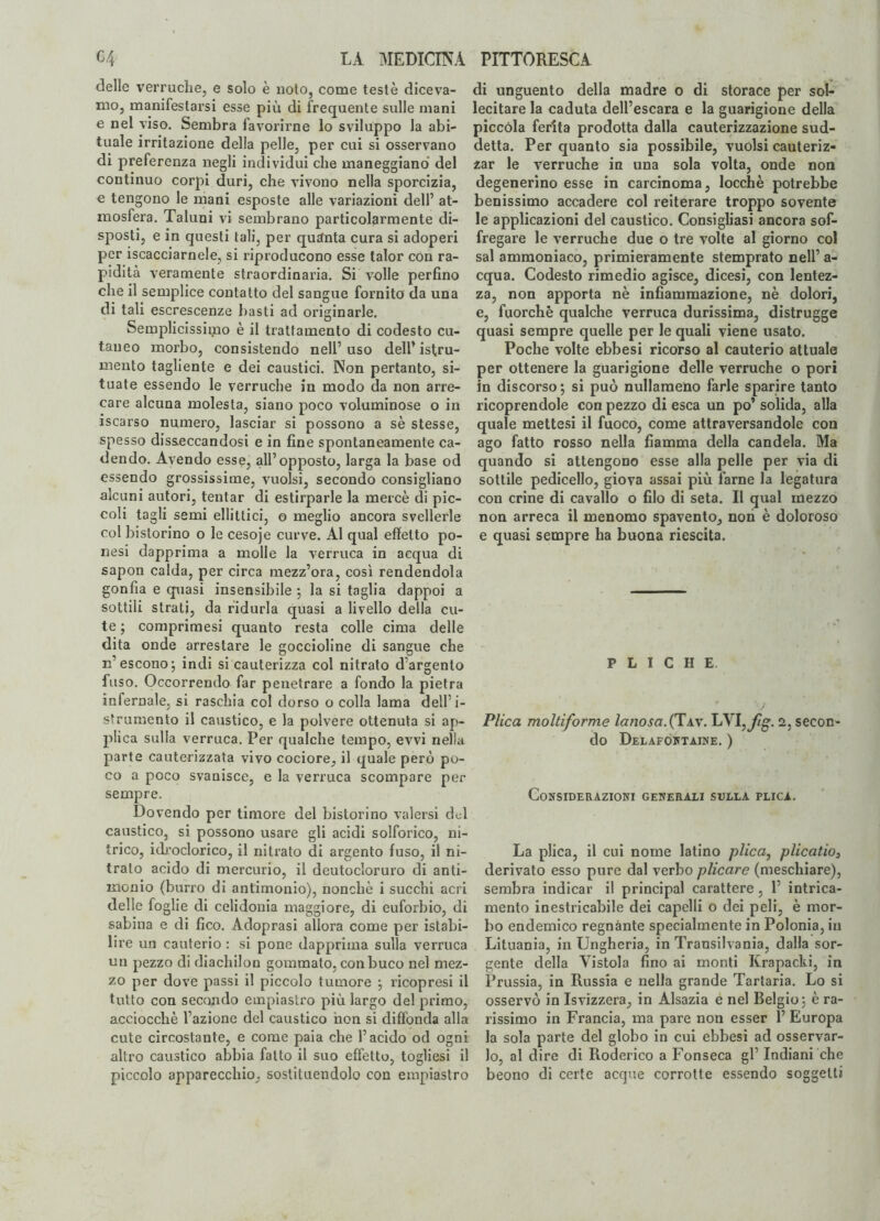 delle verruche, e solo è noto, come teste diceva¬ mo, manifestarsi esse più di frequente sulle mani e nel viso. Sembra favorirne lo sviluppo la abi¬ tuale irritazione della pelle, per cui si osservano di preferenza negli individui che maneggiano del continuo corpi duri, che vivono nella sporcizia, e tengono le mani esposte alle variazioni dell’ at¬ mosfera. Taluni vi sembrano particolarmente di¬ sposti, e in questi tali, per quanta cura si adoperi per Scacciamele, si riproducono esse talor con ra¬ pidità veramente straordinaria. Si volle perfino che il semplice contatto del sangue fornito da una di tali escrescenze basti ad originarle. Semplicissimo è il trattamento di codesto cu¬ taneo morbo, consistendo nell’ uso dell* Stru¬ mento tagliente e dei caustici. Non pertanto, si¬ tuate essendo le verruche in modo da non arre¬ care alcuna molesta, siano poco voluminose o in Scarso numero, lasciar si possono a sè stesse, spesso disseccandosi e in fine spontaneamente ca¬ dendo. Avendo esse, all’opposto, larga la base od essendo grossissime, vuoisi, secondo consigliano alcuni autori, tentar di estirparle la mercè di pic¬ coli tagli semi ellittici, o meglio ancora svellerle col bistorino o le cesoje curve. Al qual effetto po- nesi dapprima a molle la verruca in acqua di sapon calda, per circa mezz’ora, così rendendola gonfia e quasi insensibile ; la si taglia dappoi a sottili strati, da ridurla quasi a livello della cu¬ te ; comprimesi quanto resta colle cima delle dita onde arrestare le goccioline di sangue che mescono; indi si cauterizza col nitrato d’argento fuso. Occorrendo far penetrare a fondo la pietra infernale, si raschia col dorso o colla lama dell’i- strumento il caustico, e la polvere ottenuta si ap¬ plica sulla verruca. Per qualche tempo, evvi nella parte cauterizzata vivo cociore, il quale però po¬ co a poco svanisce, e la verruca scompare per sempre. Dovendo per timore del bistorino valersi del caustico, si possono usare gli acidi solforico, ni¬ trico, idroclorico, il nitrato di argento fuso, il ni¬ trato acido di mercurio, il deutocloruro di anti¬ monio (burro di antimonio), nonché i succhi acri delle foglie di celidonia maggiore, di euforbio, di sabina e di fico. Adoprasi allora come per istabi- lire un cauterio : si pone dapprima sulla verruca un pezzo di diachilon gommato, con buco nel mez¬ zo per dove passi il piccolo tumore ; ricopresi il tutto con secondo empiastro più largo del primo, acciocché l’azione del caustico non si diffonda alla cute circostante, e come paia che l’acido od ogni altro caustico abbia fatto il suo effetto, togliesi il piccolo apparecchio, sostituendolo con empiastro di unguento della madre o di storace per sol¬ lecitare la caduta dell’escara e la guarigione della piccola ferita prodotta dalla cauterizzazione sud¬ detta. Per quanto sia possibile, vuoisi cauteriz¬ zar le verruche in una sola volta, onde non degenerino esse in carcinoma, locchè potrebbe benissimo accadere col reiterare troppo sovente le applicazioni del caustico. Consigliasi ancora sof¬ fogare le verruche due o tre volte al giorno col sai ammoniaco, primieramente stemprato nell’ a- cqua. Codesto rimedio agisce, dicesi, con lentez¬ za, non apporta nè infiammazione, nè dolori, e, fuorché qualche verruca durissima, distrugge quasi sempre quelle per le quali viene usato. Poche volte ebbesi ricorso al cauterio attuale per ottenere la guarigione delle verruche o pori in discorso; si può nullameno farle sparire tanto ricoprendole con pezzo di esca un po’ solida, alla quale mettesi il fuoco, come attraversandole con ago fatto rosso nella fiamma della candela. Ma quando si attengono esse alla pelle per via di sottile pedicello, giova assai più farne la legatura con crine di cavallo o filo di seta. Il qual mezzo non arreca il menomo spavento, non è doloroso e quasi sempre ha buona riescita. PLICHE. Plica moltiforme lanosa.(Tav. LYI,jìg. 2, secon¬ do Delafontaine. ) Considerazioni generali sulla plica. La plica, il cui nome latino plica, plicatio3 derivato esso pure dal verbo plicare (meschiare), sembra indicar il principal carattere , 1’ intrica- mento inestricabile dei capelli o dei peli, è mor¬ bo endemico regnante specialmente in Polonia, in Lituania, in Ungheria, in Trausilvania, dalla sor¬ gente della Vistola fino ai monti Krapacki, in Prussia, in Russia e nella grande Tartaria. Lo si osservò in Isvizzera, in Alsazia e nel Belgio; è ra¬ rissimo in Francia, ma pare non esser 1’ Europa la sola parte del globo in cui ebbesi ad osservar¬ lo, al dire di Roderico a Fonseca gl’ Indiani che beono di certe acque corrotte essendo soggetti