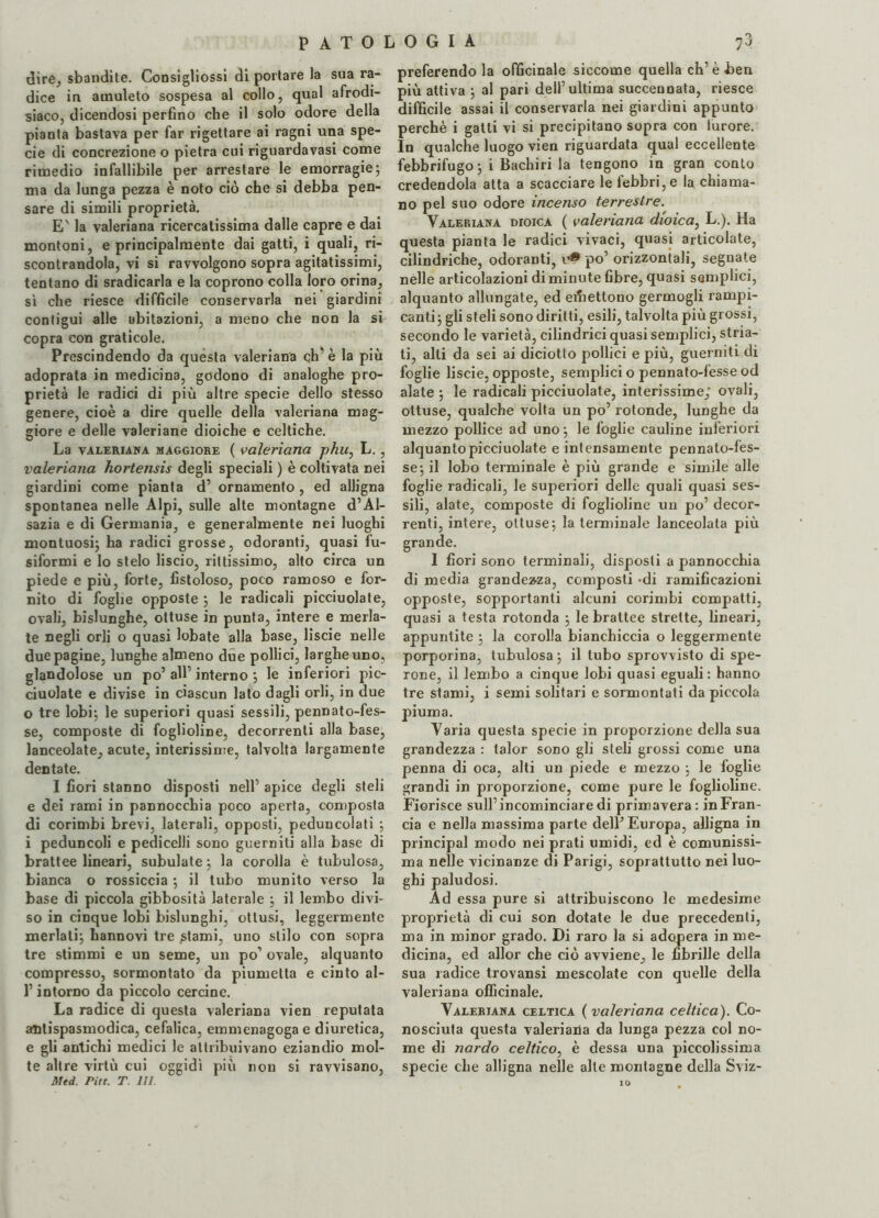 P A T O 1 dire, sbandite. Consigliossi di portare la sua ra¬ dice in amuleto sospesa al collo, qual afrodi¬ siaco, dicendosi perfino che il solo odore della pianta bastava per far rigettare ai ragni una spe¬ cie di concrezione o pietra cui riguardavasi come rimedio infallibile per arrestare le emorragie; ma da lunga pezza è noto ciò che si debba pen¬ sare di simili proprietà. Ev la valeriana ricercatissima dalle capre e dai montoni, e principalmente dai gatti, i quali, ri¬ scontrandola, vi si ravvolgono sopra agitatissimi, tentano di sradicarla e la coprono colla loro orina, sì che riesce difficile conservarla nei giardini contigui alle abitazioni, a meno che non la si copra con graticole. Prescindendo da quésta valeriana eh’è la più adoprata in medicina, godono di analoghe pro¬ prietà le radici di più altre specie dello stesso genere, cioè a dire quelle della valeriana mag¬ giore e delle valeriane dioiche e celtiche. La valeriana maggiore ( valeriana phu, L., valeriana hortensis degli speciali ) è coltivata nei giardini come pianta d’ ornamento , ed alligna spontanea nelle Alpi, sulle alte montagne d5Al¬ sazia e di Germania, e generalmente nei luoghi montuosi; ha radici grosse, odoranti, quasi fu¬ siformi e lo stelo liscio, rittissimo, alto circa un piede e più, forte, fistoloso, poco ramoso e for¬ nito di foghe opposte ; le radicali picciuolate, ovali, bislunghe, ottuse in punta, intere e merla¬ te negli orli o quasi lobate alla base, liscie nelle due pagine, lunghe almeno due pollici, larghe uno, glandolose un po’ all’ interno ; le inferiori pic¬ ciuolate e divise in ciascun lato dagli orli, in due o tre lobi; le superiori quasi sessili, pennato-fes¬ se, composte di foglioline, decorrenti alla base, lanceolate, acute, interissime, talvolta largamente dentate. I fiori stanno disposti nell5 apice degli steli e dei rami in pannocchia poco aperta, composta di corimbi brevi, laterali, opposti, peduncolati ; i peduncoli e pedicelli sono guerniti alla base di brattee lineari, subulate ; la corolla è tubulosa, bianca o rossiccia ; il tubo munito verso la base di piccola gibbosità laterale ; il lembo divi¬ so in cinque lobi bislunghi, ottusi, leggermente merlati; hannovi tre stami, uno stilo con sopra tre stimmi e un seme, un pò1 ovale, alquanto compresso, sormontato da piumelta e cinto al- l’intorno da piccolo cercine. La radice di questa valeriana vien reputata antispasmodica, cefalica, emmenagoga e diuretica, e gli antichi medici le attribuivano eziandio mol¬ te altre virtù cui oggidì più non si ravvisano, Med. Pia. T. ili. O G I A 73 preferendo la officinale siccome quella eh’è ben più attiva ; al pari dell’ultima succennata, riesce difficile assai il conservarla nei giardini appunto perchè i gatti vi si precipitano sopra con furore. In qualche luogo vien riguardata qual eccellente febbrifugo ; i Bachiri la tengono in gran conto credendola atta a scacciare le febbri,e la chiama¬ no pel suo odore incenso terrestre. Valeriana dioica ( valeriana dioica, L.). Ha questa pianta le radici vivaci, quasi articolate, cilindriche, odoranti, v» po’ orizzontali, segnate nelle articolazioni di minute fibre, quasi semplici, alquanto allungate, ed emettono germogli rampi¬ canti; gli steli sono diritti, esili, talvolta più grossi, secondo le varietà, cilindrici quasi semplici, stria¬ ti, alti da sei ai diciotto pollici e più, guerniti di foglie liscie, opposte, semplici o pennato-fèsse od alate ; le radicali picciuolate, interissime; ovali, ottuse, qualche volta un po’ rotonde, lunghe da mezzo pollice ad uno ; le foglie cauline inferiori alquanto picciuolate e intensamente pennato-fes¬ se; il lobo terminale è più grande e simile alle foglie radicali, le superiori delle quali quasi ses¬ sili, alate, composte di foglioline un po’ decor¬ renti, intere, ottuse; la terminale lanceolata più grande. I fiori sono terminali, disposti a pannocchia di media grandezza, composti *di ramificazioni opposte, sopportanti alcuni corimbi compatti, quasi a testa rotonda ; le brattee strette, lineari, appuntite ; la corolla bianchiccia o leggermente porporina, tubulosa ; il tubo sprovvisto di spe¬ rone, il lembo a cinque lobi quasi eguali : hanno tre stami, i semi solitari e sormontati da piccola piuma. Varia questa specie in proporzione della sua grandezza : talor sono gli steli grossi come una penna di oca, alti un piede e mezzo ; le foglie grandi in proporzione, come pure le foglioline. Fiorisce sull’incominciare di primavera: in Fran¬ cia e nella massima parte dell5 Europa, alligna in principal modo nei prati umidi, ed è comunissi¬ ma nelle vicinanze di Parigi, soprattutto nei luo¬ ghi paludosi. Ad essa pure si attribuiscono le medesime proprietà di cui son dotate le due precedenti, ma in minor grado. Di raro la si adopera in me¬ dicina, ed allor che ciò avviene, le fibrille della sua radice trovansi mescolate con quelle della valeriana officinale. Valeriana celtica ( valeriana celtica). Co¬ nosciuta questa valeriana da lunga pezza col no¬ me di nardo celtico, è dessa una piccolissima specie che alligna nelle alte montagne della Sviz¬ io