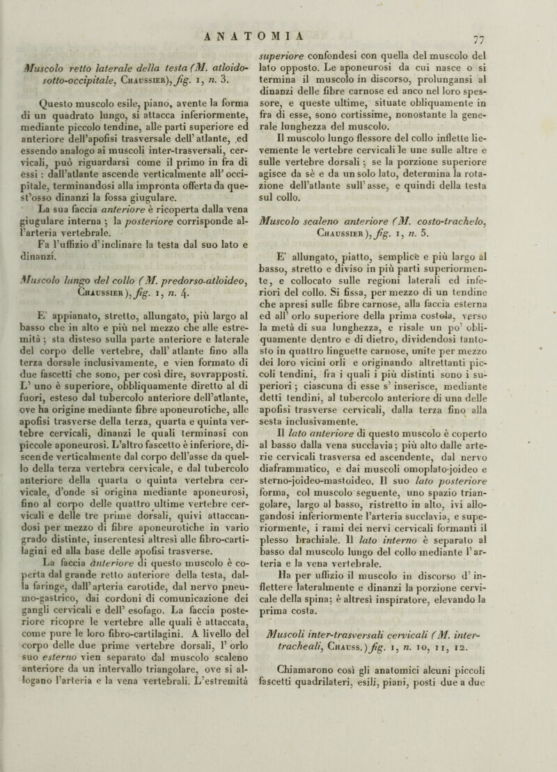 Muscolo retto laterale della testa (M. atloido- s otto-oc cipitale, Chaussier ),Jig- i, n. 3. Questo muscolo esile, piano, avente la forma di un quadrato lungo, si attacca inferiormente, mediante piccolo tendine, alle parti superiore ed anteriore dell’apofìsi trasversale dell’atlante, ed essendo analogo ai muscoli inter-trasversali, cer¬ vicali, può riguardarsi come il primo in fra di essi : dall’atlante ascende verticalmente all’ occi¬ pitale, terminandosi alla impronta offerta da que¬ st’osso dinanzi la fossa giugulare. La sua faccia anteriore è ricoperta dalla vena giugulare interna ; la posteriore corrisponde al¬ l’arteria vertebrale. Fa l’uffizio d’inclinare la testa dal suo lato e dinanzi. Muscolo lungo del collo (M. predarso-ailoìdeo, Chaussier ),fig. i, n. 4- E' appianato, stretto, allungato, più largo al basso che in alto e più nel mezzo che alle estre¬ mità ; sta disteso sulla parte anteriore e laterale del corpo delle vertebre, dall’ atlante fino alla terza dorsale inclusivamente, e vien formato di due fascetti che sono, per così dire, sovrapposti. L’ uno è superiore, obbliquamente diretto al di fuori, esteso dal tubercolo anteriore dell’atlante, ove ha origine mediante fibre aponeurotiche, alle apofisi trasverse della terza, quarta e quinta ver¬ tebre cervicali, dinanzi le quali terminasi con piccole aponeurosi. L’altro fascetto è inferiore, di¬ scende verticalmente dal corpo dell’asse da quel¬ lo della terza vertebra cervicale, e dal tubercolo anteriore della quarta o quinta vertebra cer¬ vicale, d’onde si origina mediante aponeurosi, fino al corpo delle quattro ultime vertebre cer¬ vicali e delle tre prime dorsali, quivi attaccan¬ dosi per mezzo di fibre aponeurotiche in vario grado distinte, inserentesi altresì alle fibro-carti- lagini ed alla base delle apofisi trasverse. La faccia anteriore di questo muscolo è co¬ perta dal grande retto anteriore della testa, dal¬ la faringe, dall’arteria carotide, dal nervo pneu- mo-gastrico, dai cordoni di comunicazione dei gangli cervicali e dell’ esofago. La faccia poste¬ riore ricopre le vertebre alle quali è attaccata, come pure le loro fibro-cartilagini. A livello del corpo delle due prime vertebre dorsali, 1’ orlo suo esterno vien separato dal muscolo scaleno anteriore da un intervallo triangolare, ove si al¬ logano l’arteria e la vena vertebrali. L’estremità 77 superiore confondesi con quella del muscolo del lato opposto. Le aponeurosi da cui nasce o si termina il muscolo in discorso, prolungansi al dinanzi delle fibre carnose ed anco nel loro spes¬ sore, e queste ultime, situate obliquamente in fra di esse, sono cortissime, nonostante la gene¬ rale lunghezza del muscolo. Il muscolo lungo flessore del collo inflette lie¬ vemente le vertebre cervicali le une sulle altre e sulle vertebre dorsali ; se la porzione superiore agisce da sè e da un solo lato, determina la rota¬ zione dell’atlante sull’ asse, e quindi della testa sul collo. Muscolo scaleno anteriore (M. costo-trachelo, Chaussier ),fig. i, n. 5. E' allungato, piatto, semplici e più largo al basso, stretto e diviso in più parti superiormen¬ te, e collocato sulle regioni laterali ed infe¬ riori del collo. Si fissa, per mezzo di un tendine che apresi sulle fibre carnose, alla faccia esterna ed all’ orlo superiore della prima costola, verso la metà di sua lunghezza, e risale un po’ obli¬ quamente dentro e di dietro, dividendosi tanto¬ sto in quattro linguette carnose, unite per mezzo dei loro vicini orli e originando altrettanti pic¬ coli tendini, fra i quali i più distinti sono i su¬ periori ; ciascuna di esse s’inserisce, mediante detti tendini, al tubercolo anteriore di una delle apofisi trasverse cervicali, dalla terza fino alla sesta inclusivamente. Il lato anteriore di questo muscolo è coperto al basso dalla vena succlavia; più alto dalle arte¬ rie cervicali trasversa ed ascendente, dal nervo diaframmatico, e dai muscoli omoplato-joideo e sterno-joideo-mastoideo. Il suo lato posteriore forma, col muscolo seguente, uno spazio trian¬ golare, largo al basso, ristretto in alto, ivi allo¬ gandosi inferiormente l’arteria succlavia, e supe¬ riormente, i rami dei nervi cervicali formanti il plesso brachiale. Il lato interno è separato al basso dal muscolo lungo del collo mediante l’ar¬ teria e la vena vertebrale. Ha per uffizio il muscolo in discorso d’in¬ flettere lateralmente e dinanzi la porzione cervi¬ cale della spina; è altresì inspiratore, elevando la prima costa. Muscoli inter-trasversali cei'vicali (M. inter- trachealì, Chauss.)fig. i, n. io, ii, 12. Chiamarono così gli anatomici alcuni piccoli fascetti quadrilateri, esili, piani, posti due a due