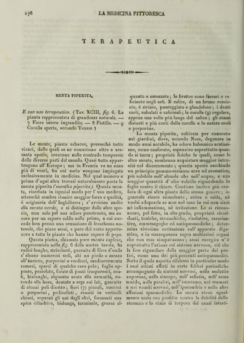 TERAPEUTICA MENTA PIPERITA, E suo uso terapeutico. (Tav. XCIII, fig. 6. La pianta rappresentata di grandezza naturale. —- 7 Fiore intero ingrandito. — 8 Pistillo. — 9 Corolla aperta, secondo Turpii*. ) Le mente, piante erbacee, pressoché tutte vivaci, delle quali se ne conoscono oltre a ses¬ santa specie, crescono nelle contrade temperate delle diverse parti del mondo. Quasi tutte appar¬ tengono all’ Europa ; ma in Francia ve ne sono più di venti, fra cui varie vengono impiegate esclusivamente in medicina. Nel qual numero e prima d’ogui altra trovasi naturalmente posta la menta piperita (mentila piperita). Questa men¬ ta, riserbata in ispezial modo per V uso medico, attesoché sembra riunire maggior forza e qualità, è originaria dell’ Inghilterra ; s’ avvicina molto alla menta verde, e si distingue dalle altre spe¬ cie, non solo pel suo odore penetrante, ma an cora per un sapore caldo sulle prime, a cui suc¬ cede ben presto una sensazione di freschezza no¬ tevole, che piace assai, e pare dei resto apparte¬ nere a tutte le piante che hanno sapore di pepe. Questa pianta, chiamata pure menta inglese, rappresentata nella fig. 6 della nostra tavola, ha radici lunghe, striscianti, guernite di fibre d’onde s1 alzano numerosi steli, alti un piede e mezzo all’incirca, porporini o verdicci, mediocremente ramosi, sparsi di qualche raro pelo ; foglie op¬ poste, peziolate, forate di punti trasparenti, ova¬ li, bislunghi, alquanto acute alla sommità, ro¬ tonde alla base, dentate a sega sui lati, guernite di alcuni peli disotto -, fiori (7) piccoli, rossicci o porporini , pelicellati , ritmiti in verticilli chiusi, separali gli uni dagli altri, formanti una spica cilindrica, bislunga, terminale, grossa al¬ quanto e smuzzata; le brattee sono lineari e ca¬ licinate negli orli. Il calice, di un bruno rossic¬ cio, è striato, punteggialo e glaudoloso *, i denti corti, subulati e calicinali; la corolla (9) regolare, appena una volta più lunga del calice \ gli slami distanti e più corti della corolla e le antere ovali e porporine. La menta piperita, coltivata per consueto nei giardini, dove, secondo Nees, degenera in modo assai notabile, ha odore balsamico acutissi¬ mo, come canforato, espansivo soprattutto quan¬ do si tocca ; proprietà fisiche le quali, come le altre mente, sembrano acquistare maggior inten¬ sità col diseccamento 5 questa specie racchiude un principio gommo-resinoso acre ed aromatico, più solubile nell* alcoole che nell’ acqua, e una maggior quantità d’ olio volatile riguardando le foglie contro il chiaro. Contiene inoltre più can¬ fora di ogni altra pianta dello stesso genere ; in generale riesce stimolante, attiva e calda, nè vuoisi adoprarla se non nel caso in cui non siavi nè infiammazione, nè irritazione. Le si ricono¬ scono, pel fatto, in alto grado, proprietà riscal¬ danti, toniche, stomachiche, risolutive, carmina¬ tive, emmenagoghe ed antispasmodiche } deter¬ mina vivissima eccitazione sull’ apparato dige¬ stivo, e in conseguenza sopra moltissimi organi che con essa simpatizzano ; assai energica n’ è soprattutto fazione sul sistema nervoso, ciò che la fece riguardare dalla maggior parte dei pra¬ tici, come uno dei più possenti antispasmodici. Sotto il quale aspetto rifulsero in partieolar modo i suoi ottimi effetti in certe febbri periodiche accompagnate da sintomi nervosi, nelle malattie soporose, nella sincope, nell’asfissia, nell’asma umido, nella paralisi, nell’isterismo, nei tremori e nei vomiti nervosi, nell’ipocondria e nelle altre affezioni spasmodiche. La menta viene egual¬ mente usata con profitto contro la debilità dello stomaco e lo stato di torpore del canal intesti-