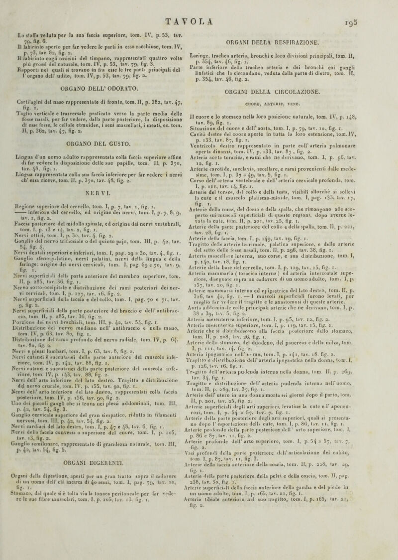 La staffa velluta per la sua faccia superiore, torà. IV, p. 53, tav. 79, fig. 6. Il labirinto aperto per far vedere le parti in esso racchiuse, toni. IV, p. 73, tav. 82, fig. 2. Il labirinto cogli ossicini del timpano, rappresentati quattro volle più grossi del naturale, tom. IV, p. 53, tav. 79, fig. 3. Rapporti nei quali si trovano in fra esse le tre parli principali del 1’ organo dell’ udito, tom. IV, p. 53, tav. 79, fig. 2. ORGANO DELL’ ODORATO. Cartilagini del naso rappresentate di fronte, tom. II, p. 382, tav. 47, , '• Taglio verticale e trasversale praticato verso la parte media delle fosse nasali, per far vedere, dalla parte posteriore, la disposizione di esse fosse, le cellule etmoidee, i seni mascellari, i meati, ec. tom. II, p. 362, tav. 47, fig- 2. ORGANO DEL GUSTO. Lingua d'un uomo adulto rappresentata colla faccia superiore affine di far vedere la disposizioue delle sue papille, tom, li, p. 370, tav. 481 fig- 1 • Lingua rappresentata colla sua faccia inferiore per far vedere i nervi eh' essa riceve, tom. il, p. 370, tav. 4®, fig- 2. NERVI. Regione superiore del cervello, toni. I, p. 7, tav. 1, fig. r. -inferiore del cervello, ed origine dei nervi, toni. I, p. 7, 8, 9, tav. 1, fig. 2. Faccia posteriore del midollo spinale, ed origine dei nervi vertebrali, tom. I, p. i3 e 14, tav. 2, fig. 1. Nervi ottici, tom. 1, p. 3o, tav. 4, fig. 2. Ganglio del nervo Irii'icciale o del quinto pajo, tom. Ili, p. 42, tav. 54, fig. 4. Nervi dentali superiori e inferiori, tom. I, pag. 29 a 3o, tav. 4, fig- 1 ■ Ganglio sfeno-p,latino, nervi palatini, nervi della lingua e della laringe: origine dei nervi cervicali, tom. 1, pag. 69 e 70, tav. 9, fig- 1. Nervi superficiali dell» parte anteriore del membro superiore, tom. II, p. 285, tav. 3G, fig. 1. Nervo sotto-occipitale e distribuzione dei rami posteriori dei ner¬ vi cervicali, toni. I, p. 127, tav. 16, fig. 2. Nervi superficiali della faccia e del collo, loro. I, pag. 70 e 71, tav. 9, fig. 2. Nervi superficiali della parie posteriore del braccio e dell’antibrac¬ cio, tom. Il, p 285, tav. 36, fig. 2. Porzione dei nervi brachiali, tom. HI, p. 42, tav. 54, fig- 1. Distribuzione «lei nervo mediano nell’ antibraccio e nella mauo, tom. IV, p. 63, lav. 80, fig. 1. Distribuzione del ramo profondo del nervo radiale, loro. IV, p. 64, lav. 80, fig. 2. Nervi e plessi lombari, Ioni. I, p. 63, tav. 8, fig. 2. Nervi cutanei è soccutanei della parte anteriore del muscolo infe¬ riore, tom. IV, p. 142, tav. 88, fig. 1. Nervi cutanei e succutanei della parte posteriore del muscolo infe¬ riore, tom. IV, p. i43, lav. 88, fig. 2. Nervi dell' arto inferiore del lato destro. Tragitto e distribuzione d^I nervo crurale, toni. IV, p. i55, lav. 90, fig. 1. Nervi dell’ arto inferiore «lei lato destro, rappresentati colla faccia posteriore, tom. IV, p. i56, tav. 90, fig. 2. Uno dei piccoli gangli che si trova nei plessi addominali, tom. Ili, p. 42, tav. 54, fig. 3. Ganglio cervicale superiore del gran simpatico, ridotto in filamenti nervosi, tom. Ili, p. 42, lav. 54, fig. 2. Nervi cardiaci del lato destro, toin. I, p. 47 ® 4^’ tav. fig- •- Nervi della faccia convessa o superiore del cuore, tom. 1, p. io5, lav. 13, fig. 2. Ganglio semilunare, rappresentato di grandezza naturale, loro. Ili, p. 42, lav. 54, fig. 5. ORGANI DIGERENTI. Organi della digestione, aperti per un gran tratto sopra il cadavere di un uomo dell’età incirca di 40 anui, tom. 1, pag. 79, tav. io, fig. 1. Stomaco, dal quale si è tolta via la tonaca peritoneale per far vede¬ re le sue fibre muscolari, tom. I,p. io5, lav. i3, fig. 1, ORGANI DELLA RESPIRAZIONE. Laringe, trachea arteria, bronchi e loro divisioni principali, tom. II, p. 354, tav. 46, fig. 1. Parte inferiore della trachea arteria e dei bronchi coi gangli linfatici che la circondano, veduta dalla parte di dietro, tom. II, p. 354, tav. 465 fig- 2. ORGANI DELLA CIRCOLAZIONE. CUORE, ARTERIE, TENE. Il cuore e Io stomaco nella loro posizione naturale, tom. IV, p. j48, tav. 89, fig. i. Situazione del cuore e dell’aorta, tom. I, p. 79, tav. io, fig. 1. Cavila destre ilei cuore aperte in tutta la loro estensione, tom. IV, p. 138, tav. 87, fig. 1. Ventricolo destro rappresentato in parte coll’arteria polmonare aperta dinanzi, toro. IV, p. 133, tav. 87 , fig. 2. Arteria aorta toracica, e rami che ne derivano, tom. I, p. 96, tav. 12, fig. 1. Arterie carotide, succlavia, ascellare, e rami provenienti dalle mede¬ sime, tom. I, p. 37 a 49, tav. 5, fig. 1. Corso dell’arieria vertebrale e dell’arteria cervicale profonda, toro. 1, p. 11 r, lav. 14, fig- 1. Arterie del torace, del collo e della testa, visibili allorché si sollevi la cute e il muscolo platisraa-mioide, tom. 1, pag. 133, tav. 17, fig. 1. Arterie della nuca, del dorso e della spalla, che rimangono allo sco¬ perto sui muscoli snpei fidali di queste regioni, dopo averne le¬ vata la cute, tom. Il, p. 201, lav. 25, fig. 1. Arterie della parte posteriore del collo e della spalla, tom. Il, p. 221, lav. 28, fig. 1. Arterie della faccia, tom. I, p. 149, tav. 19, fig. 1. Tragiito delle arterie lacrimale, palatina supeiiore, e delle arterie del sello delle fosse nasali, tom. II, p. 296, lav. 38, fig. 1. Arteria mascellare ioterna, suo corso, e sua distribuzione, tom. I, p. 14°, tav. 18, fig. 1. Arterie della base del cervello, tom. I, p. ug, tav. i5, fig. I. Arteria mammaria ( toracica interna ) ed arteria intercostale supe¬ riore, disegnate sopra un cadavere di un uomo adulto, tom. 1, p. 157, lav. 20, fig. 1. Arterie mammaria interna ed epigastrica del Iato destro, tom. II, p. 326, tav 42, fig. 1. — 1 muscoli superficiali furono levati, per meglio far vedere il tragitto e le anastomosi di queste arterie. Aorta addominale colle principali arterie che ne derivano, tom. I, p. 38 a 3g, tav. 5, fig. 2. Arteria mesenterica inferiore, tom. 1, p. g5, tav. 12, fig. 2. Arteria mesenterica superiore, toro. I, p. 119, tav. 15, fig. 2. Arterie che si distribuiscono alla faccia posteriore dello stomaco, tom. II, p. 208, tav. 26, fig. 1. Arterie dello stomaco, del duodeno, del pancreas e della milza, tom. I, p. in, tav. 1 4, fig. 2. Arteria ipogastrica nell’ iM-mo, tom. 1, p. 1 41, lav. 18. fig. 2. Tragillo e distribuzione dell’ arteria ipogastrica nella donna, tom. I, p. 126, tav. 16, fig. 1. Tragiito dell’arteiia pudenda interna nella donna, tom. II, p. 269, tav. 34, fig. 1. Tragitto e disti ibuzione dell’arteria pudenda interna nell’uomo, Ioni, li, p. 289, tav. 37, fig. 1. Arterie dell’ utero in una donna morta sei giorni dopo il parto, tom. II, p. 201, tav. 25, fig. 2. Arterie superficiali degli arti superiori, levatine la cute e 1’ aponeu¬ rosi, tom. I, p. 54 a 57, lav. 7, fig. 1. Arterie della parie posteriore degli arti superiori, quali si preserva¬ no dopo I’ esportazione della cute, Ioni. I, p. 86, tav. 11, fig. 1. Arterie profonde della parie posteriore dell’ arto superiore, toni. I, p. 86 e 87 , tav. 11, fig. 2. Arterie profonde dell’ arto superiore, tom. 1, p. 54 a 57, tav. 7, fig- 2. Vasi profondi della parte posteriore dell’articolazione del cubilo, torri. I, p. 87. tav. 11, fig. 3. Arterie della faccia anteriore della coscia, tom. II, p. 228, tav. 29, fig. 1. Arterie della parte posteriore della pelvi c della coscia, toro. II, pag. 238, lav. 3o, fig. 1. Arterie superficiali della faccia anteriore della gamba e del piede in un uomo adulto, loro. I, p. i65, tav. 21, fig. I. Arteria tibiale anteriore nel suo tragitto, tom. I, p. i65, lav. 21, fig. 2.