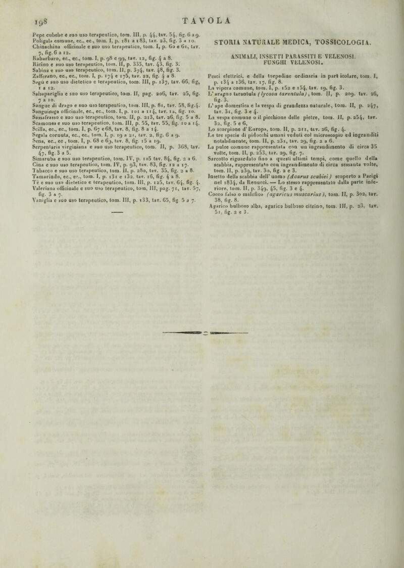 f Pepe cubebe e suo uso terapeutico, Ioni. Ili, p. 44i lsv- -^4' fi»- 6 a 9. Poligala comune, ec., ec, tona. I, p. 181 a t83, tav. 23, fig. 3 a io. Chinachina officinale e suo uso terapeutico, toni. I, p. 60 e 61, tav. 7, fig-6 a I2- Rabarbaro, ec., ec., tom. I, p. 98 e 99, tav. 12, fig. 4 a 8. Ricino e suo uso terapeutico, tom. II, p. 335, tav. 43, fig. 3t Sabina e suo uso terapeutico, tom. Il, p. 3741 tav. 48, fig. 3. Zafferano, ec., ec., tom. I, p. 174 e 170, tav. 22, fig. 4 a 8. Sagù e suo uso dietetico e terapeutico, tom. Ili, p. 137, tav. 66, fig, 1 a 12. Salsapariglia e suo uso terapeutico, tom. Il, pag. 206, tav. 25, fig. 7 a io. Sangue di drago e suo uso terapeutico, tom. Ili, p. 8r, tav. 58, fig.4. Sanguisuga officinale, ec., ec., tom. I, p. 101 a 114, tav. 12, fig. io. Sassafrasso e suo uso terapeutico, tom. II, p. 2i3, tav. 26, fig. 5 a 8, Scamonea e suo uso terapeutico, tom. Ili, p. 55, tav. 55, fig. io a 14. Scilla, ec., ec., tom. I, p. 67 e 68, tav. 8, fig. 8 a i4- Segala cornuta, ec., ec., tom. I, p. 19 a 21, tav. 2, fig. 699. Sena, ec., ec , tom. I, p. 68 e 69, tav. 8, fig. i5 a ig. Serpenlaria virgioiana e suo uso terapeutico, tom. Il, p. 368, tav. 47, fig. 3 a 5. Simaruba e suo uso terapeutico, tom. IV, p. io5 tav. 84, fig. 2 a 6. Cina e suo uso terapeutico, tom. IV, p. 93, tav. 83, fig. 12 a 17. Tabacco e suo uso terapeutico, tom. Il, p. 280, tav. 35, fig. 2 a 8. Tamarindo, ec., ec., tom. I, p. i3i e i32, tav. 16, fig. 4 a 8. Tè e suo uso dietetico e terapeutico, tom. Ili, p. 125, tav. 64, fig- 4- Valeriana officinale e suo uso terapeutico, tom, III, pag. 71, tav. 57, fig. 3 a 7. Vaniglia e suo uso terapeutico, tom. Ili, p. *33, tav. 65, fig 5 a 7. STORIA NATURALE MEDICA, TOSSICOLOGIA. ANIMALI, INSETTI PARASSITI E VELENOSI. FUNGHI VELENOSI. Pesci elettrici, e della torpedine ordinaria in pari icolare, tom. I, p. 134 a i36, tav. 17, fig. 8. La vipera comune, tom. I, p. i52 e i54, tav. 19, fig. 3. L’ aragno tarantola ( l/cosa tarzntula) , tom. II, p. 209. tav. 26, fig. 3. I,’ ape domestica e la vespa di grandezza naturale, loro. II, p. 247, tav. 3i, fig. 3 e 4- La vespa comune o il piccbione delle pietre, tom. II, p. 254» tav. 3a, fig. 5 e 6, Lo scorpione d’Europa, tom. II, p. 211, tav. 26, fig. 4- Le tre specie di pidocchi umani veduti col microscopio ed ingranditi notabilmente, tom. II, p. 231, tav. 29, fig. 2 a 6. La pulce comune rappresentata con un ingrandimento di circa 35 volte, tom. II, p. 253, tav. 29, fig. 7. Sarcotto riguardato fino a questi ultimi tempi, come quello della scabbia, rappresentato con ingrandimento di circa sessanta volte, toro. II, p. 23q, tav. 3o, fig. 2 e 3. Insetto della scabbia dell’ uomo (Acarus scabiei) scoperto a Parigi nel i834, da Renucci. — Lo stesso rappresentato dalla parte inte¬ riore, tom. II, p. 34g, 46i fig- 3 e 4- Cocco falso o malefico (agaricus muscarius ), tom. II, p. 3o2, tav. 38, fig. 8. Agarico bolboso alba, agarico bulboso citrino, tom. Ili, p. 23, tav. 51, fig. 2 e 3.