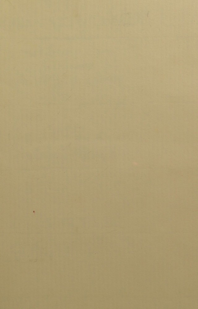 digitised image 3