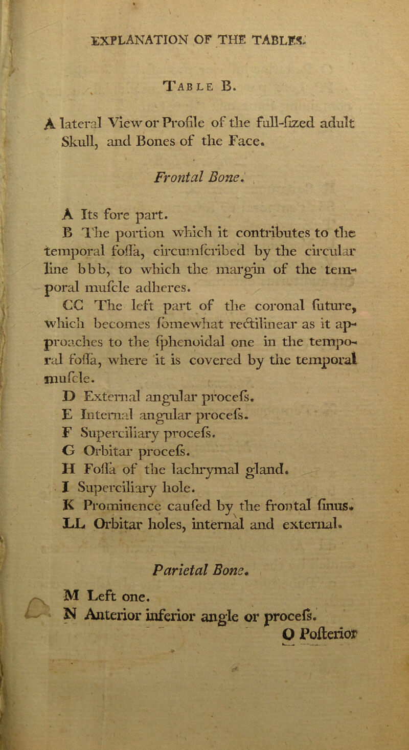 Table B. A lateral View or Profile of tlie full-Gzed adult Skull, and Bones of the Face. A Its fore part. B The portion which it contributes to the temporal folia, circumfcribed by the circular line bbb, to which the margin of the tem- poral mufcle adheres. CG The left part of the coronal future, which becomes fbmewhat rectilinear as it ap- proaches to the fphenoidal one in the tempo-* ral folia, where it is covered by the temporal mufcle. D Ext era al angular procefs. E Internal angular procefs. F Superciliary procefs. G Orbitar procefs. H Folia of the lachrymal gland* I Superciliary hole. K Prominence caufed by the frontal finus. EE Orbitar holes, internal and external. Frontal Bone. Parietal Bone• M Left one. N Anterior inferior angle or procefs. Q Pofterior