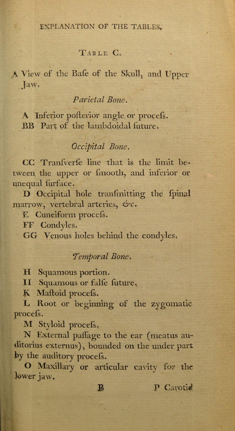 I EXPLANATION OF THE TABLES* Table C. rK View of the Bafe of the Skull, and Upper Jaw. ■ Parietal Bone. A Inferior pofterior angle or procefs. BB Part of the lambdoiclal future, • , • ^ \ t Occipital Bone. CC Tranfverfe line that is the limit be-* tween the upper or fmooth, and inferior or imequal furface. D Occipital hole tranfmitting the fpinal marrow, vertebral arteries, Crc. E Cuneiform procefs. FF Condyles. GG Venous holes behind the condyles * Temporal Bone. H Squamous portion. II Squamous or falfe future., JC Maftoid procefs. L Root or beginning of the zygomatic procefs. M Styloid procefs.. N External paflage to the ear ditorius extemus), bounded on the under part by the auditory procefs. O Maxillary or articular cavity for the lower jaw. (meatus au- B P Carotid