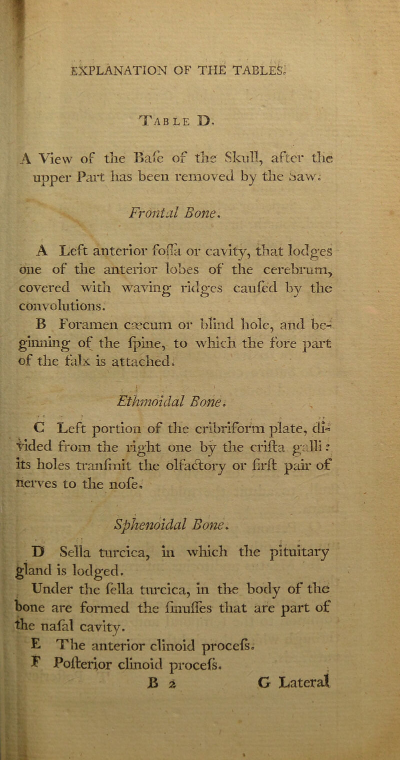 Tab le D. A View of the Bale of the Skull, after the upper Part has been removed by the baw; Frontal Bone. A Left anterior folia or cavity, that lodges one of the anterior lobes of the cerebrum, covered with waving ridges caufed by the convolutions. B Foramen caecum or blind hole, and be- ginning of the ipine, to which the fore part of the falx is attached. i i Ethmoidal Bone. C Left portion of the cribriform plate, di- vided from the right one by the crifta ga Hi: its holes tranlmit the olfactory or frit pair of nerves to the nofe. Sphenoidal Bone. D Sella turcica, in which the pituitary gland is lodged. Under the fella tiuxica, in the body of the bone are formed the fmuffes that are part of the nalal cavity. E The anterior clinoid procefs, E Pofterior clinoid procefs. B 2 G Lateral