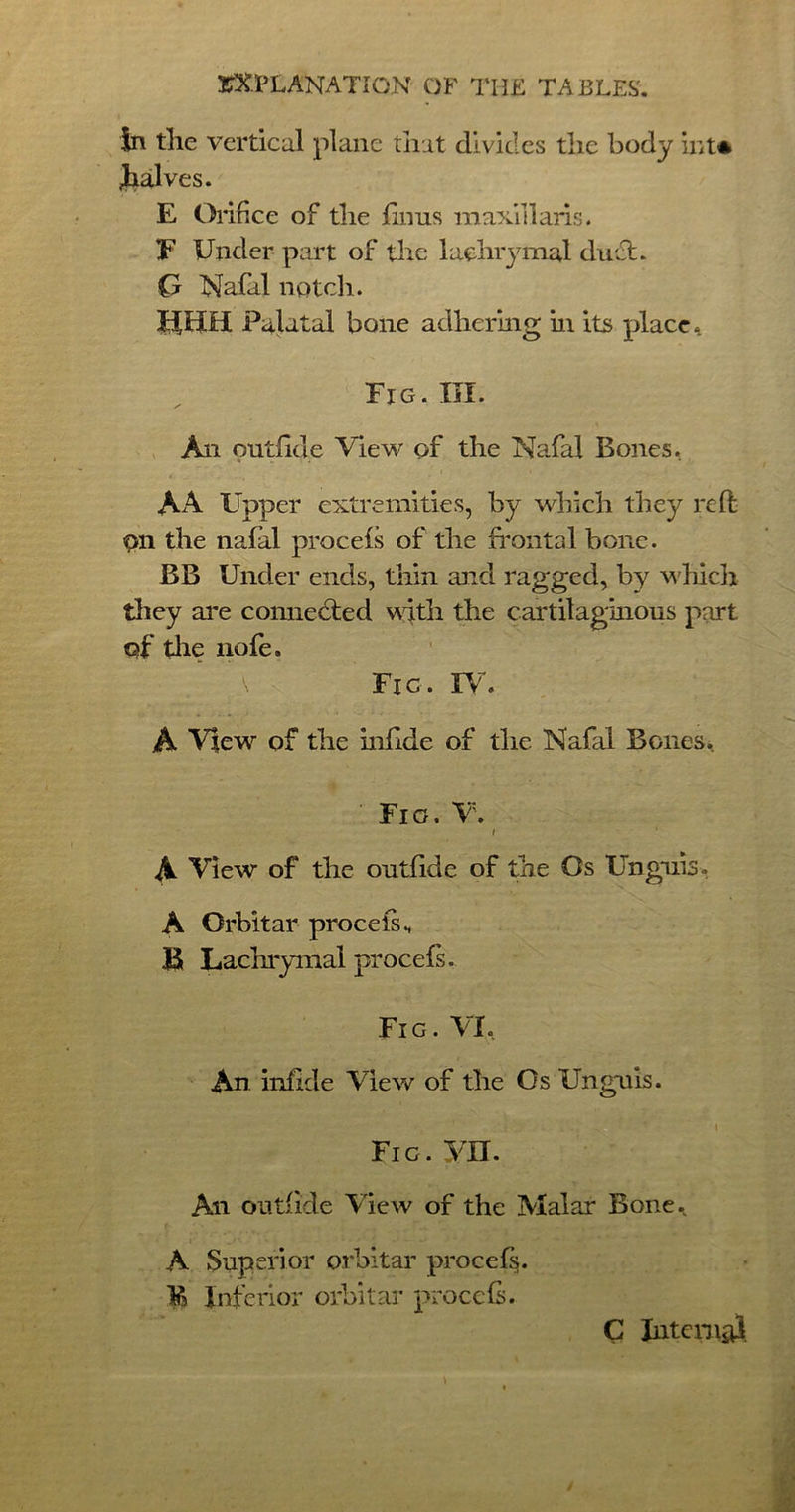 in tlie vertical plane that divides the body int* ^halves. E Orifice of the linns maxillaris. F Under part of the lachrymal duet. G Nafal notch. JIHI1 Palatal bone adhering in its place. Fig. III. An outfide View of the Nafal Bones. AA Upper extremities, by which they reft On the nafal procefs of the frontal bone. BB Under ends, thin and ragged, by which they are connected with the cartilaginous part of the nofe. \ Fig. I\r. A View of the infide of tlie Nafal Bones. Fig. V. i A View of the outfide of the Os Unguis. A Orbitar procefs h B Lachrymal procefs. Fig. VI, An infide View of the Os Unguis. Fig. Vn. An outfide View of the Malar Bone. A Superior orbitar procefs. B Inferior orbitar procefs. C Intern^]
