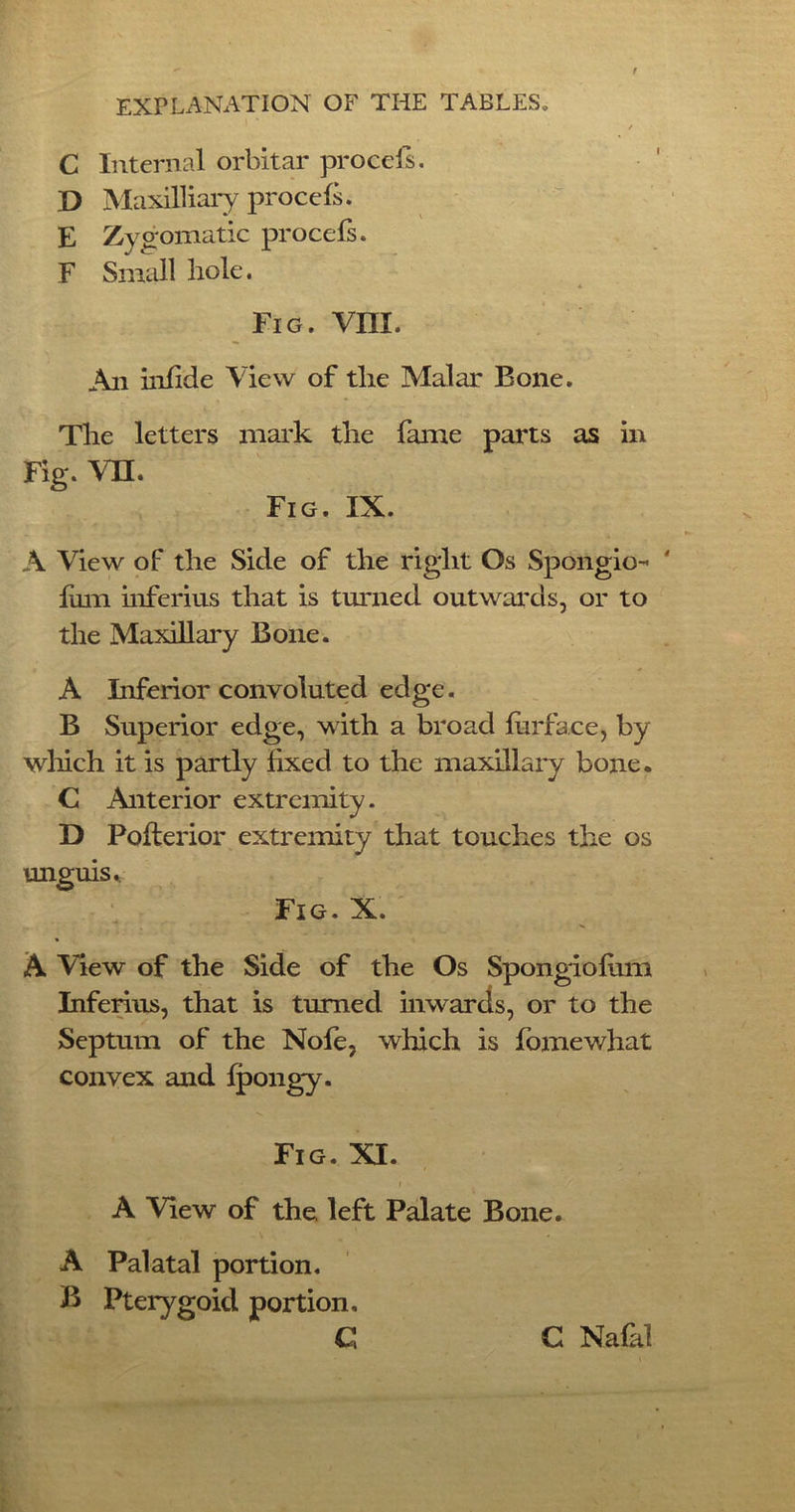 / C Internal orbital* procefs. D Maxilliary procefs. E Zy oomatic procefs. F Small hole. * Fig. Vffl. An infide View of the Malar Bone. The letters mark the fame parts as in Fig. vn. Fig. IX. A View of the Side of the right Os Spongio- fum inferius that is turned outwards, or to the Maxillary Bone. A Inferior convoluted edge. B Superior edge, with a broad far face, by which it is partly fixed to the maxillary bone. C Anterior extremity. D Poflerior extremity that touches the os unguis Fig. X. A View of the Side of the Os Spongiofum Inferius, that is turned inwards, or to the Septum of the Nofe, which is fomewhat convex and fpongy. Fig. XI. i A View of the, left Palate Bone. A Palatal portion. B Pterygoid portion, C C Nafal