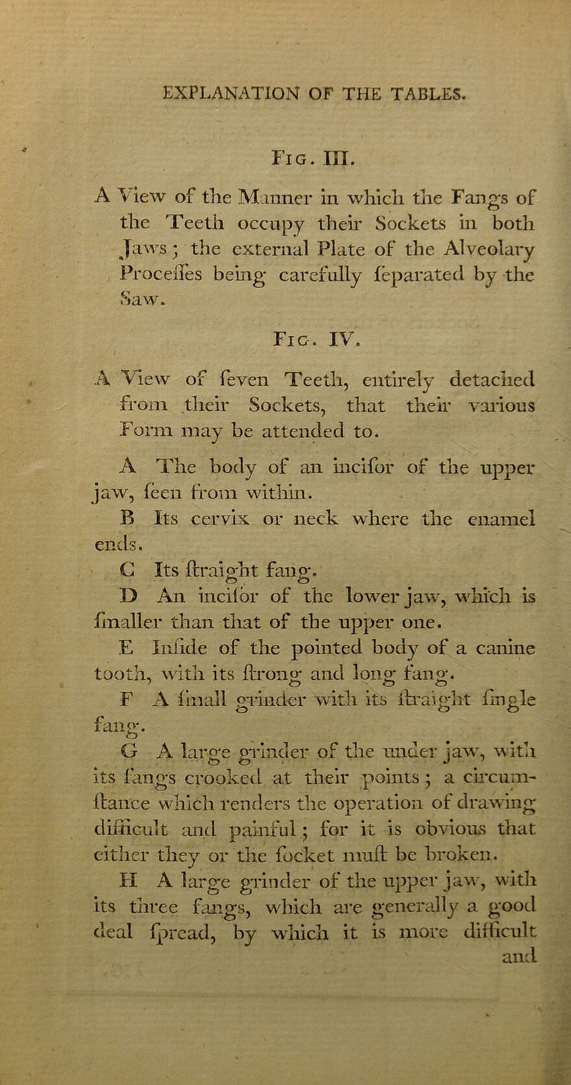 Fig. III. A View of the Manner in which the Fangs of the Teeth occupy their Sockets in both Jaws• the external Plate of the Alveolary Froceftes being carefully feparated by the Saw. Fig. IV. A View of feven Teeth, entirely detached from their Sockets, that their various Form may be attended to. A The body of an incifor of the upper jaw, {een from within. B Its cervix or neck where the enamel ends. G Its ftraight fang. D An inch or of the lower jaw, which is fmaller than that of the upper one. E Iiifide of the pointed body of a canine tooth, with its ftroiio; and lono* fano;. F A final 1 grinder with its ftraight bugle fan o*. O G A large grinder of the under jaw, with its fangs crooked at their points ; a circum- ftance which renders the operation of drawing difficult and painful; for it is obvious that either they or the focket muft be broken. FI A large grinder of the upper jaw, with its three fangs, which are generally a good deal fpread, by which it is more difficult and