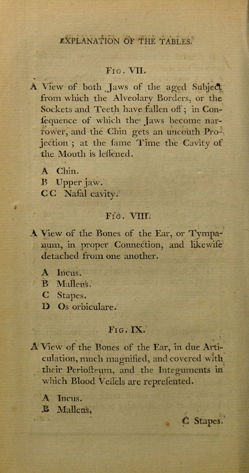 Fig. VII. * '■'»»' ■ ■ , u A View of botli Jaws of the aged Subjeft from which the Alveolary Borders, or the Sockets and Teeth have fallen off; in Con- lequence of which the Jaws become nar- rower, and the Chin gets an uncouth Pro- jection ; at the lame Time the Cavity of the Mouth is leffeiied. A Chin. B Upper jaw. C C Natal cavity. Fig. VIIF A View of the Bones of the Ear, or Tympa- num, in proper Connection, and like wile detached from one another. A Incus. B Malleus o C Stapes. D Os orbiculare* : _ • Fig.IX. A View of the Bones of the Ear, in due Arti- * s culation, much magnified, and covered with their Perioffeura, and the Integuments in which Blood Vellels are reprefented. A Incus. B MallettSo ; - C Stapes o *