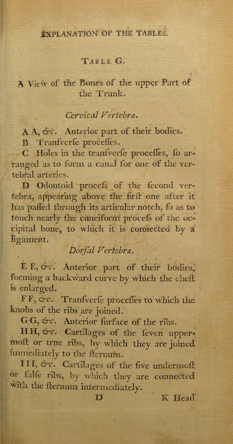 Table G. ) A View of the Bones of the upper Part of the Trunk. Cervical Vertebra. i A A, &c. Anterior part of their bodies, B Tranfverfe procefles. G Holes in the tranfverfe procefies, fo ar- ranged as to form a canal for one of the ver- tebral arteries. D Odontoid procefs of the fecond ver- tebra, appearing above the fir if one after it has palled through its articular notch, fo as to touch nearly the cuneiform' procefs of the oc- cipital bone, to which it is connected by a ligament. Dorfal Veriebra. ✓ / • . J t ~ * •* E E, Anterior part of their bodies^ forming a backward curve by which the cheft is enlarged. F F, &c. Tranfverfe procefles to which the knobs of the ribs are joined. G G, &c. Anterior furface of the ribs. H H, &c. Cartilag es of the feven upper-* moft or true ribs, by which they are joined immediately to the ifemum. Ill, &c. Cartilages of the five undermoff or falfe ribs, by which they are connected with the flernum intermediately, O K Head