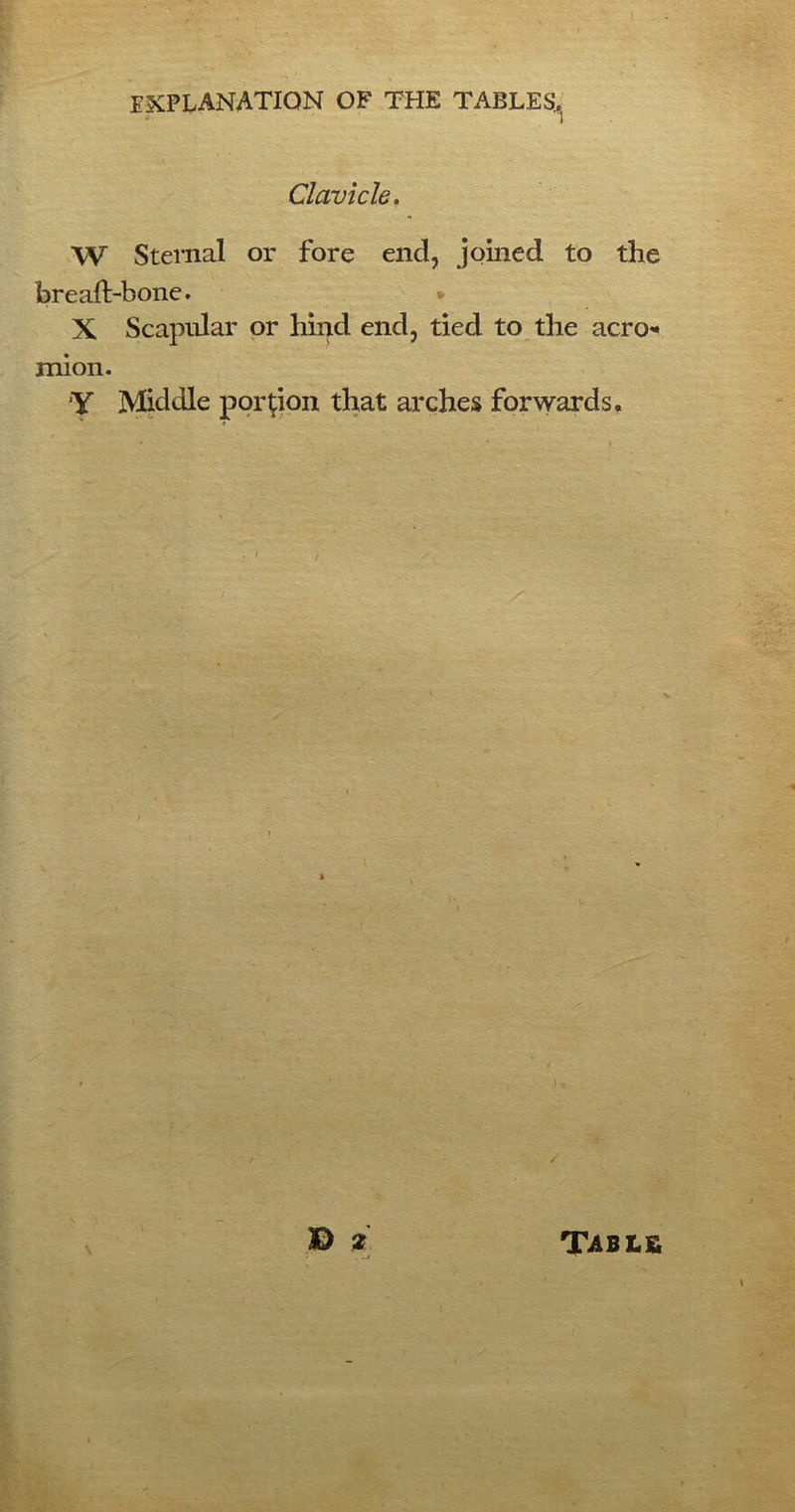 Clavicle. W Sternal or fore end, joined to the breaft-bone. X Scapular or hind end, tied to the aero* mion. *Y Middle portion that arches forwards. » % • , —i Table