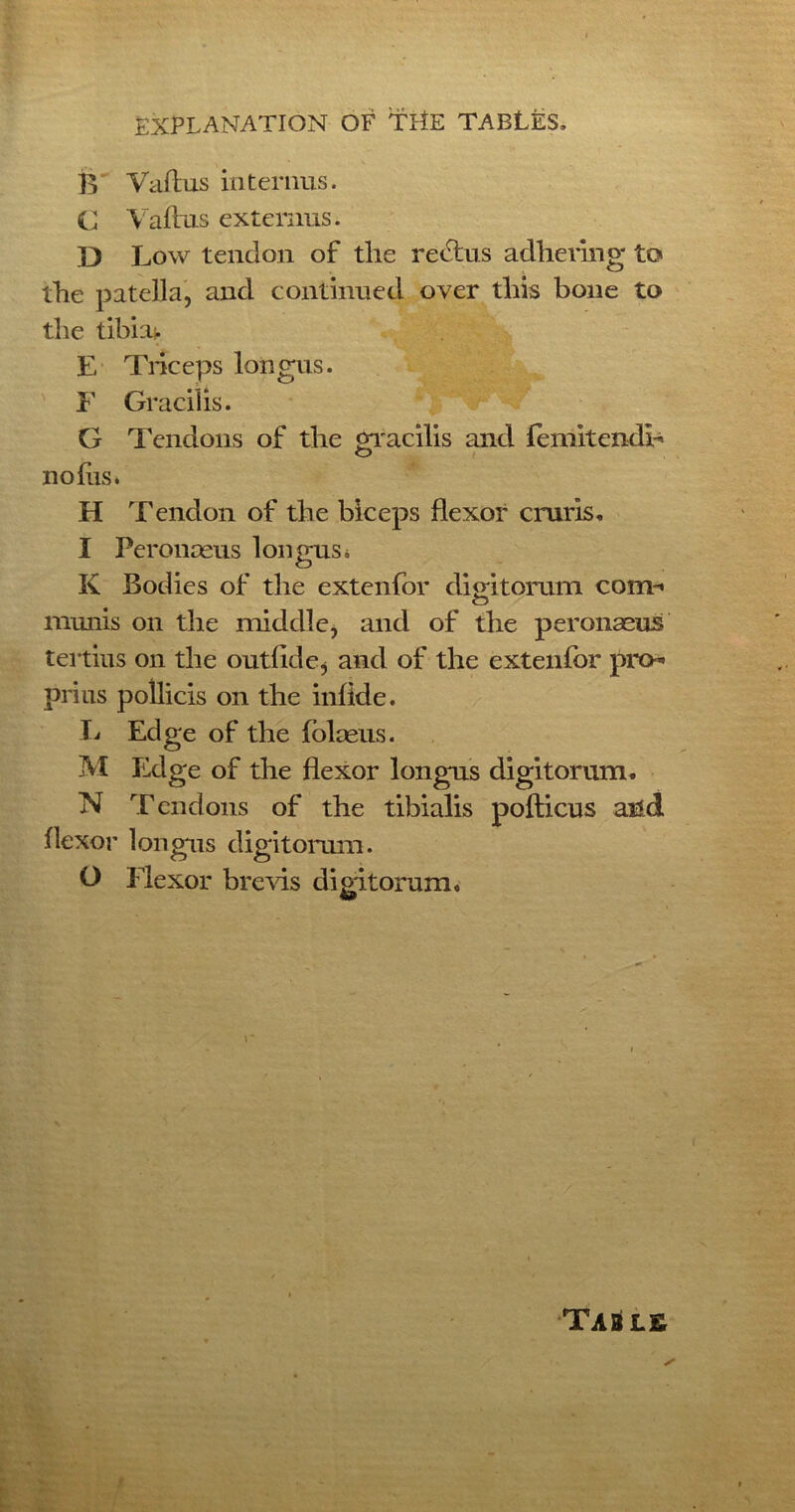 B Vaflus internus. C Vaftus extemus. D Low tendon of the rectus adhering to the patella, and continued over this bone to the tibia* E Triceps loiigus. F Gracilis. G Tendons of the gracilis and femitendb O no his. H Tendon of the biceps flexor cruris, I Peronaeus longus* K Bodies of the extenfor digitorum com-* munis on the middle, and of the peronaeus tertius on the outlide, and of the extenfor pro* prius poilicis on the inlide. L Edge of the folaeus. M Edge of the flexor longus digitorum. N Tendons of the tibialis pofticus and flexor longus digitorum. O Flexor breeds digitorum. TahSls