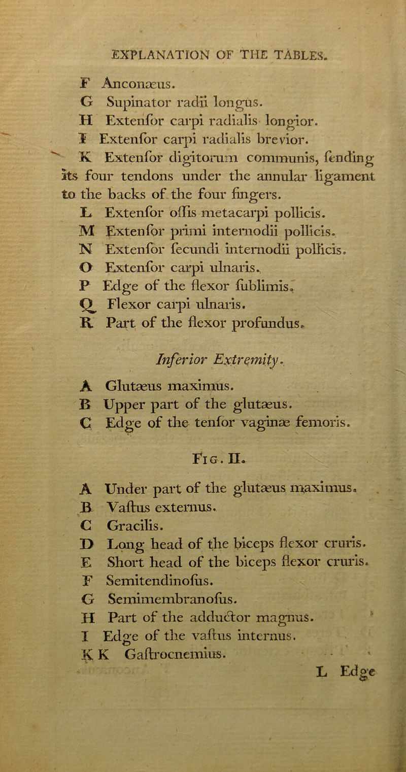 F Anconaeus. G Supinator radii longus. FI Extenfor carpi radialis longior. F Extenfor carpi radialis brevior. K Extenfor digitorum communis, fending Its four tendons under the annular ligament to the backs of the four fingers. L Extenfor offis metacarpi pollicis. M Extenfor primi internodii pollicis. N Extenfor fecundi intemodii pollicis. 0 Extenfor carpi ulnar is P Edge of the flexor fiiblimis. Flexor carpi nlnaris. R Part of the flexor profundus. Inferior Extremity. A Glutaeus maximus. B Upper part of the glutaeus. C Edge of the tenfor vaginae femoris. Fig. II. A Under part of the glutaeus maximus, B Vaftus externus. C Gracilis. D Long head of the biceps flexor cruris. E Short head of the biceps flexor cruris. F Semitendinofiis. G Semimembranofus. H Part of the adducFor magnus. 1 Edsre of the vaftus interims. O ly K Gaftrocnemius. L Edge