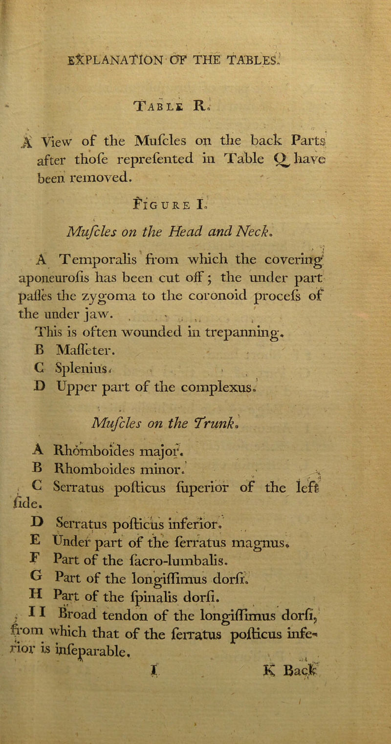 Table R. X View of the Mufcles on the back Parts after thofe reprefented in Table Q have been removed. Pigure Io Mufcles on the Head and Neck. A Temporalis from which the covering aponeurofis has been cut off; the under part palfes the zygoma to the coronoid proceis of the under jaw. This is often wounded in trepanning. B Mafleter. C Splenius < > D Upper part of the complexus. Mufcles on the Trunk* A Rhomboides major. B Rhomboides minor. . v « r •! U Serratus pofticus fiiperior of the left fide. D Serratus pofticus inferior. E Under part of the ferratus magnus, E Part of the facro-lumbalis. G Part of the longiftimus dorfh H Part of the Ipinalis dorfi. ,11 Broad tendon of the longiftimus dorfij from which that of the ferratus pofticus infe** fior is inleparable. t . K Back