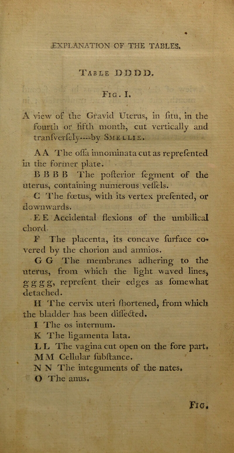 Table DDDD. Fig. I. « A view of the Gravid Uterus, in fitu, in the fourth or fifth month, cut vertically and tranfverfely——by Sm e l li e . A A The ofla innominata cut as reprefented in the former plate. BB B B The pofterior fegment of the uterus, containing numerous veffels. G The foetus, with its vertex prefen ted, or downwards. E E Accidental flexions of the umbilical chord F The placenta, its concave furface co- A i- * vered by the chorion and amnios. G G The membranes adhering to the uterus, from which the light waved lines* g- g g g, reprefent their edges as fomewhat detached. H The cervix uteri fhortened, from which the bladder has been difle<Sted. I The os internum. K The ligamenta lata. L L The vagina cut open on the fore part* MM Cellular fubftance. N N The integuments of the nates* O The anus. Fic.