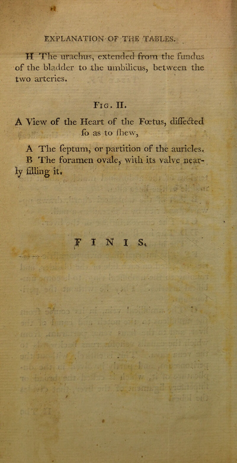 #• EXPLANATION OF THE TABLES, H The urachus, extended from the fundus of the bladder to the umbilicus, between the two arteries. , Fig. II. A View of the Heart of the Foetus, differed fo as to fliew, A The feptum, or partition of the auricles. B The foramen ovale, with its valve near- ly filling it. F INI Si / /