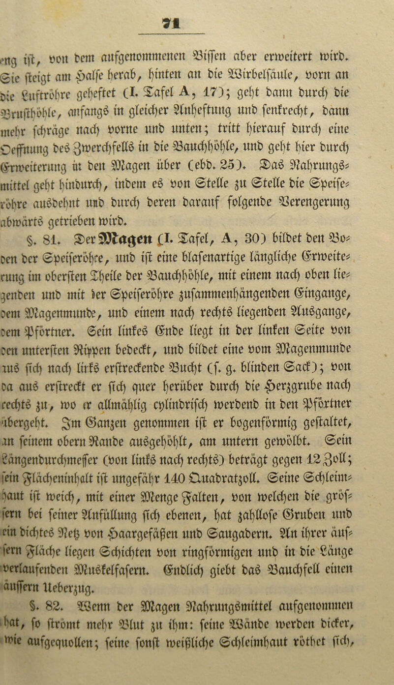 ,,ng t»oit bcm aufgenommenen Viffett aber erweitert wirb* Sic ftetgt am Hälfe herab, hinten an bie ESi'rbeffäule, born an b;e Luftröhre geheftet (I. Safe! A, 17); geht bann burcf) bie Vruftböbfe, anfangs in gleicher Efitbeftmtg unb fenfrccf)t, bann mehr feßräge nach borttc unb unten; tritt hierauf burcf) eine Oeffhung beb gwerchfelfö tu bie 33aucf)t)öb)te, unb gebt hier burcf) (Erweiterung in beit Klagen über (ebb» 25)* S)a$ 3?af)rnttgb? rnittef gebt bütbitrcf), t'nbem eb boit ©telfe gu ©teile bte ©pcife* robre aubbelutt ttttb burcf) bereu barattf fofgcttbe Verengerung abmärtb getrieben Wtrb» §. 81* 3>erSöta$en (I. Xafel, A, 30) bt'fbet beit Vo* een ber ©petferößre, unb tjl eine bfafenarttge längliche (Srweitem autg im oberften Ztyik ber Vaucf)bbf)le, mit einem naef) oben Ite* genben unb mit kr ©peiferöbre gufammenbangenben Eingänge, Dem Vtagenmitnbe, unb einem ttaef) recf)tb liegenbett Eluögattge, cem Pförtner* ©ein ltnfeb ßhtbe liegt in ber Itnfeit ©eite boit oett unterftett Efypcn bebeeftr unb bifbet eilte bom Eftagettittitttbe aus ßcf) naef) ItrB erßrectenbe Vitcf)t (f* g* bftnbeit ©aef); boit oa au£ erftreeft er ßcf) quer herüber burcf) bte Herzgrube ttaef) eecf)tö gtt, wo tr allmählig cplinbrifcf) werbcitb itt beit Pförtner 'ibergebt» gm ©angett genommen iß er bogenförmig gehaftet, an feinem obertt staube an6gef)öf)ft, am untern gewölbt* ©ein bängenburcf)tnefer (bon ItnfS ttaef) recfßö) betragt gegen 1230II; fein gfächcmttbaft iß ungefähr 140 £luabrat;ofl* ©etttc ©chfetim aaut iß weitf), mit einer Ettenge galten , bon tbefcf)ctt bte groß i'ent bet ferner Einfüllung ft cf) ebenen, ha* scxbllofc ©rubeit ttitb eilt bicf)tc$ 5?eü boit Haargefäßen unb ©augabertt* Ein ihrer ättß fern gfäcßc liegen ©cfßcf)ten boit ringförmigen ttttb in bte ßättge werfaufenben töcitöfeffafern. (Snbftcf) giebt baö Vauchfcll einen äuffertt Uebergug. §. 82. $Semt ber Eflagcit Eiahrungömittef aufgettomiiten • hat, fo ftrömt mehr Vfut gtt ihm: feine VSättbc werben biefer, ^ie aufgequoffen; feilte fottft weißliche ©cfjfeimbaitt rotbet ßcß.