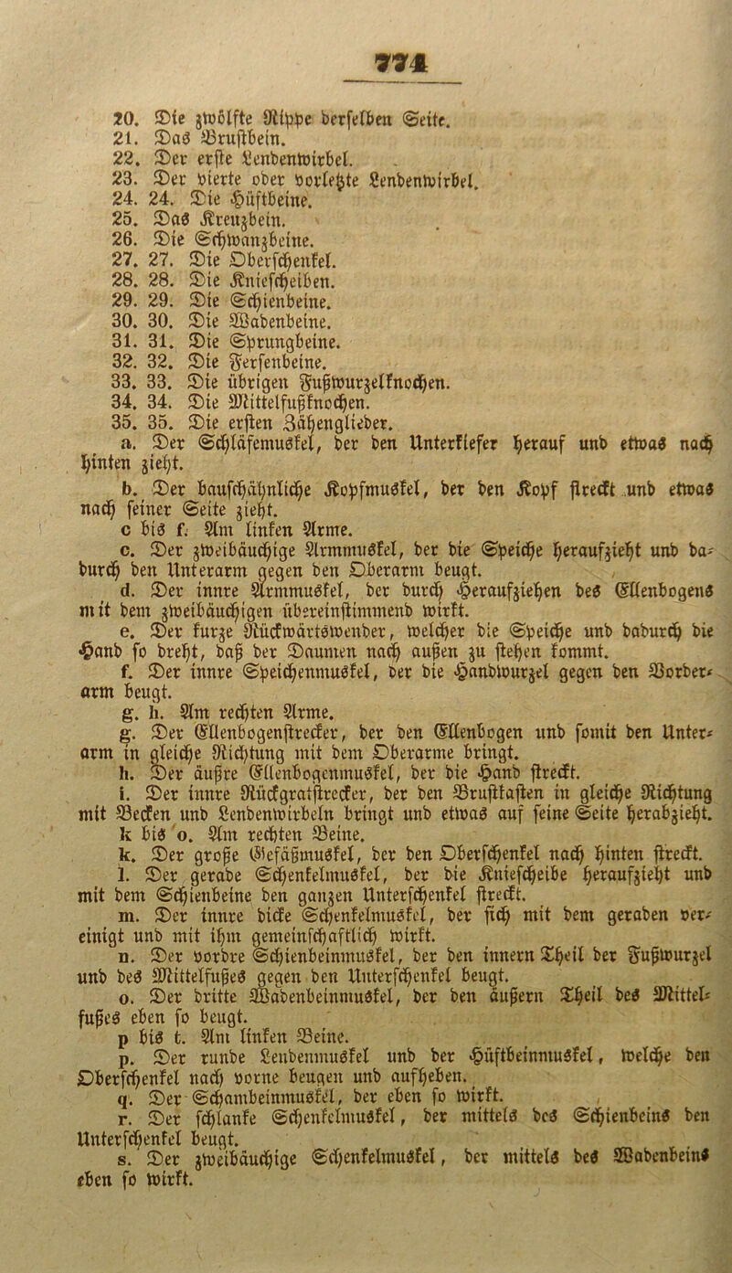 20. ©ie gtoölfte Stippe berfelben ©eite. 21. ©aS Srufibetn. 22. 2)er erfte Senbentoirbel. 23. ©er bierte ober bortefete Senbentvirbel. 24. 24. ©ie Hüftbeine. 25. ©aS $reitjbein. 26. ©ie ©epioangbeine. 27. 27. ©ie Oberfcpenfel. 28. 28. ©ie Jtntefcpeiben. 29. 29. ©ie ©epienbeine. 30. 30. ©ie Söabenbeine. 31. 31. ©ie ©prungbeine. 32. 32. ©ie ^erfeubetne. 33. 33. ©ie übrigen guftourgelfnocpen. 34. 34. ©ie Sftittelfuffnodjen. 35. 35. ©ie erjten Sdpenglieber. a. ©er ©cpldfemuSfel, ber ben Unterfiefer herauf unb ettoaS nadj pinten jiept. b. ©er baufdjdtoltcpe ÄopfntuSfel, bet ben ibopf flredt unb ettoaS naep feiner ©ette gtepf. c bis f. Slm ltnfen Sirme. c. ©er gtoetbäuepige SlrmmuSfel, ber bie ©peiepe peraufgiept unb ba- burep ben Unterarm gegen ben Oberarm beugt. d. ©er innre SlrmmuSfel, ber burd) 4>eraufgiepen beS ©llenbogens mit bent gioeibduepigen ftberetnjiimmenb toirft. e. ©er furge JkücEroärtsmenber, meldet bie ©peiepe unb baburd) bie £anb fo brept, baf ber ©aunten naep aufen gu fiepen fommt. f. ©er innre ©petcpenmuSfel, ber bie Jpanbtourgel gegen ben Sorben arm beugt. g. h. Slm redjten Slrme. g. ©er (Sfaenbogenjirecfer, ber ben (Ellenbogen unb fomit ben Unter- arm in aleicpe 9lid?tung mit bem Oberarme bringt. h. ©er dufte (EllenbogenmuSfel, ber bie £anb ftredt. i. ©er innre Stücf gratfireef er, ber ben Srufifajten in gleicpe JRicptung mit Sedfen unb Scnbenttutbeln bringt unb etloaS auf feine ©eite perabgiept. k bis o. Slm reepten Seine. k. ©er grofe l$efäimusfel, ber ben Oberfcpenfel naep pinten flredt. l. ©er gerabe ©djenfelmuSfel, ber bie iCniefcpeibe peraufgiept unb mit bem ©eptenbetne ben gangen Unterfcpenfel flredt. m. ©er innre btde ©djenfeimuSfel, ber fiep mit bem geraben »er- einigt unb mit ipm gemeinfcpaftlicp toirft. n. ©er oorbre ©cptenbeinmuSfel, ber ben innern ©peil ber Suftourgel unb beS SmttelfufeS gegen ben Unterfcpenfel beugt. o. ©er britte SBabenbeinmuöfel, ber ben auf ent ©peil beS SJlittel* fufeS eben fo beugt. p bis t. Slm ltnfen Seine. p. ©er runbe SenbenntuSfel unb ber <&üftbeinntusfel f toelcpe ben Oberfcpenfel nad) oorne beugen unb aufpeben. q. ©er ©cpantbeinmuSfel, ber eben fo toirft. r. ©er fcplanfe ©djenfclmuSfel, ber mittels bcS ©cpienbeinS ben Unterfcpenfel beugt. s. ©er gtoeibduepige ©djenfelmusfel, ber mittels beS SBabenbeiuS eben fo toirft.