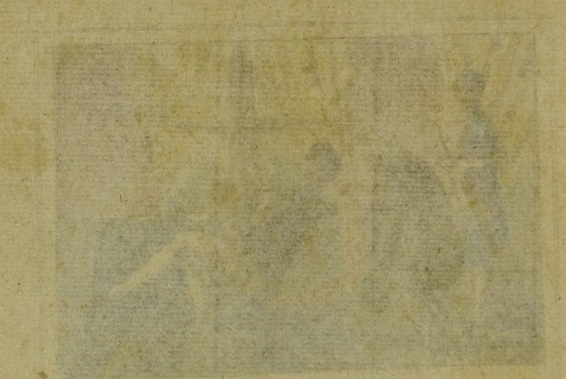 t' ; .&■ ■ V.'Æ'. fj \ :• S' ■ - ■ ■' ' i-^-i '.jf 1‘'. V'‘f^,^•■• -  — ■ ',»«•£ ’«'• ‘-i' ■.>T'.'' '.*' ■' ‘rTïî''''' '• ■•••» ■' .« V. '•' ■ '.►«•£' ' - ^ te»' '■• : : f, -;■, T ** .^•^T.SSr^s,;- •.(. 4V. ».vri.‘V. ■#-,■>.■• - ;. v'': '• ■ i:' ■ ,. ■>*;- ' n ■■ If. ■■ : -ÆP .<■ f '-'î y:.' ■ . ^ . ..-iSaï' r-^' ■ « ' ■ .■'..VJ'.'.'-■•:'-i-'î ' i'’ “• ■■ • w . ■«...«,_,,.,v ?, ;T^;- ' r ■ . ‘i «t w*»- • •. \ , ^ ■'■ '■' •' ï:'. - mIv': ^ ’ ' V•’>''te wi'-' '•■'■'