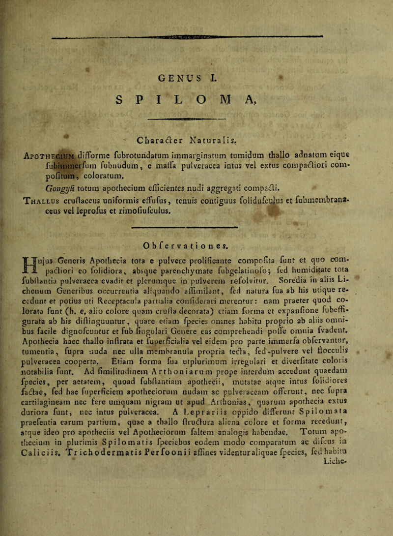 S P I L O M A, Characfcer Naturalis. Apothecium difforme fubrotundatum immarginatum tumidum thallo adnaJum eique fubimmerfum fubnudum, e mafla pulv£racea intus vel extus compariori com* politum, coloratum. Gongyli totum apothecium ellicientes nudi aggregati compadi. Thallus cruflaceus uniformis effufus, tenuis contiguus folidufculus et fubmembrana- ceus vel leprofus et rimonufculus. Obfervationes, Hujus Generis Apothecla tota e pulvere prolificaute compoflta funt et quo com- pacliori eo folidiora, absque parenchymate fubgelatinoloj led humiditate tota fubdantia pulveracea evadit et plerumque in pulverem refolvitur. Soredia in aliis Li- chenum Generibus occurrentia aliquando alllmilant, fed natura fua ab his utique re- cedunt et potius uti Receptacula partialia conliderari merentur: nam praeter quod co- lorata funt (h. e. alio colore quam cruda decorata) etiam forma et expanfione fubeffi- gurata ab his didinguuntur, quare etiam fpecies omnes habitu proprio ab aliis omni- bus facile dignofcuiitur et fub fmgulari Genere eas comprehendi polTe omnia fvadent, Apothecia haec thallo indrata et fuperficialia vel eidem pro parte immerfa obfervantur, tumentia, fupra nuda nec ulla membranula propria tetfla, fed-pulvere vel flocculis pulveracea cooperta. Etiam forma fua utplurimum irregulari et diverfitate coloris notabilia funt. Ad fimilitudinein Artiioniarum prope interdum accedunt quaedam fpecies, per aetatem, quoad fubdantiam apothecii, mutatae atque intus folidiores fadlae, fed hac fuperficiem apotheciorum nudam ac pulveraceam offerunt, nec fupra cartilagineam nec fere umquam nigram ut apud Arthonias, quarum apothecia extus duriora funt, nec intus pulveracea. A Leprariis oppido differunt Spilomata praefentia earum partium, quae a thallo flrudlura aliena colore et forma recedunt, atque ideo pro apotheciis vel Apotheciorum faltem analogis habendae. Totum apo- tliecium in plurimis Spilomatis fpecie.bus eodem modo comparatum ac diicus ;a Caliciis. Trichoder matis Perfoonii affines videntur aliquae fpecies, fed habitu Liche-