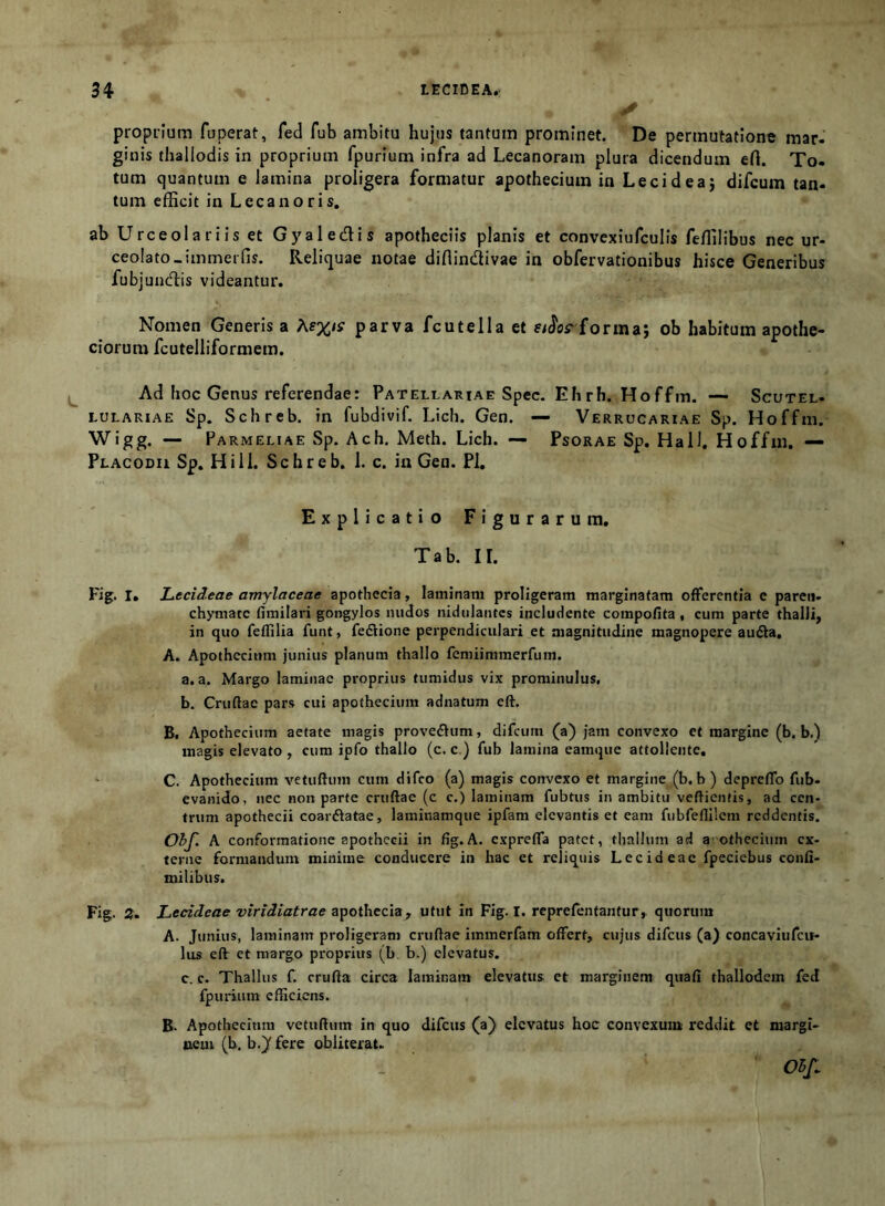 ✓ proprium fuperat, fed fub ambitu hujus tantum prominet. De permutatione mar- ginis thallodis in proprium fpurium infra ad Lecanoram plura dicendum eft. To- tum quantum e lamina proligera formatur apothecium in Lecideaj difcum tan- tum efficit in Lecanoris. ab Urceolari is et Gyaledis apotheciis planis et convexiufculis feflilibus nec ur- ceolato.immerfis. Reliquae notae diflindivae in obfervationibus hisce Generibus fubjundis videantur. Nomen Generis a parva fcutellaet forma; ob habitum apothe- ciorum fcutelliformem. Ad hoc Genus referendae: Patellariae Spec. Eli rh. Hoffm. — Scutel- LULARiAE Sp. Schreb. in fubdivif. Lich. Gen. — Verrucariae Sp. Hoffm.- Wigg. — Parmeliae Sp. Ach. Meth. Lich. — Psorae Sp. Hal). Hoffm. — Placodii Sp. Hili. Schreb. 1. c. in Gen. Pl. Explicatio Figurarum. Tab. II. Fig. I. Lecideae amjlaceae apothccia, laminam proligeram marginatam offerentia c pareii. chymatc fixnilari gongylos luidos nidtilantes includente compotita , cum parte thalli, in quo feflilia funt, fedione perpendiculari et magnitudine magnopere aufta. A. Apothecium junius planum thallo femiimmerfum. a. a. Margo laminae proprius tumidus vix prominulus. b. Cruftae pars cui apothecium adnatum eft. B. Apothecium aetate magis proveftum, difcum (a) jam convexo ct margine (b. b.) magis elevato , cum ipfo thallo (c. c ) fub lamina eamque attollente. C. Apothecium vetuftum cum difeo (a) magis convexo et margine (b. b ) depreffo fub- evanido, nec non parte cruftae (c c.) laminam fubtus in ambitu veftientis, ad cen- trum apothecii coarftatae, laminamque ipfam elevantis et eam fubfenilem reddentis, Ohf. A conformatione apothecii in fig.A. exprefla patet, thallum ad a'othecium ex- terne formandum minime conducere in hac et reliquis Lecideae fpeciebus confi- milibus. Fig. Z- Lecideae viridiatrae , utut in Fig. I. reprefentantur,. quorum A. Junius, laminam proligeram cruftae immerfam offert, cujus difeus (a) concaviufcit- lus eff et margo proprius (b b.) elevatus, c. c. Thallus f. crufta circa laminam elevatus et marginem quafi thallodem fed fpurium efficiens. B. Apothecium vetuftum in quo difciis (a) elevatus hoc convexuia reddit et margi- nem (h. b.)' fere obliterat.