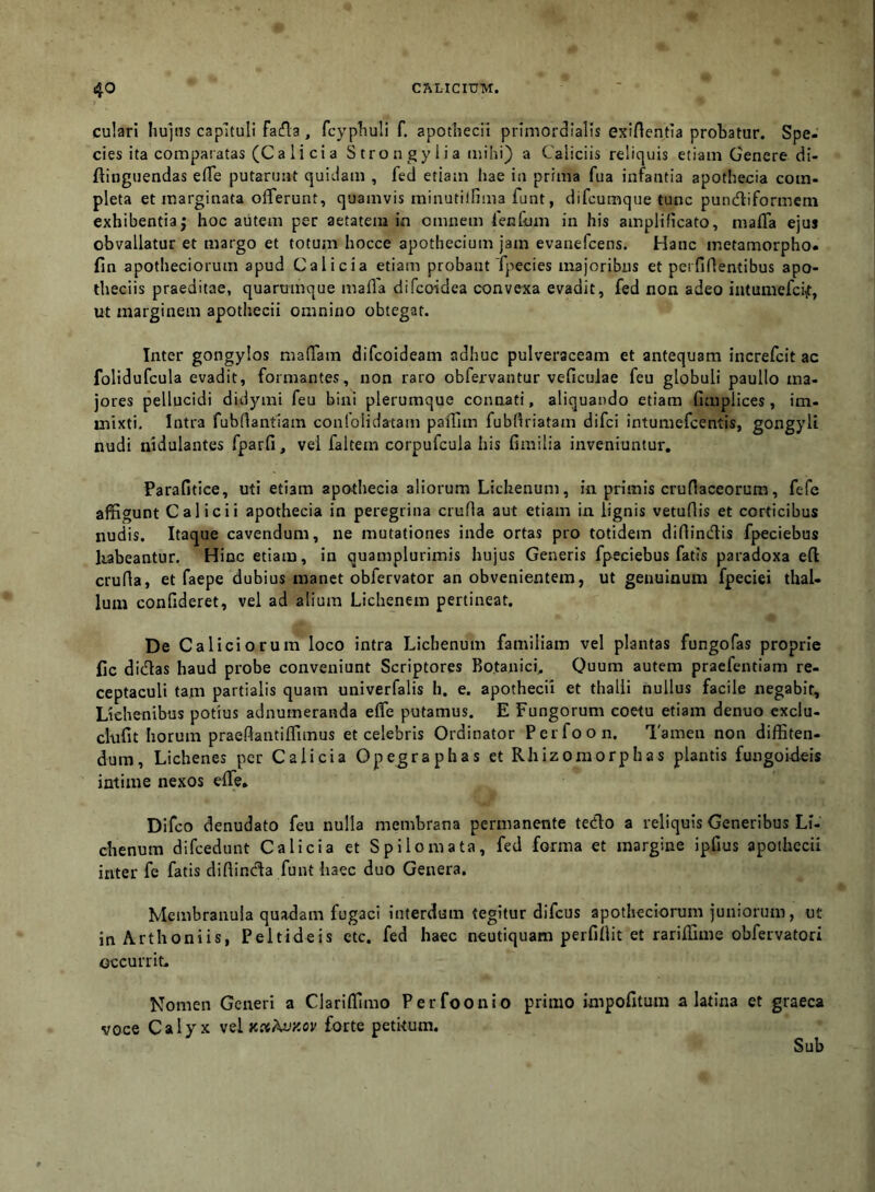 culari hu]tis capituli fafla , fcypTiuli f. apothecii primordialis exirtentia probatur. Spe- cies ita comparatas (Calici a S tr o n g y 1 i a mihi) a Caliciis reliquis etiam Genere di- flinguendas efle putarunt quidam , fed etiam Iiae in prima fua infantia apothecia coin- pleta et marginata offerunt, quamvis minutilfima funt, difcumque tunc pundliformcm exhibentiaj hoc aiitem per aetatem in omnem lenCum in his amplificato, maffa ejus obvallatur et margo et totum hocce apothecium jam evanefcens. Hanc metamorpho- fin apotheciorum apud Calicia etiam probant Tpecies majoribus et peifidentibus apo- theciis praeditae, quarumque mafla difcoidea convexa evadit, fed non adeo intumefci^t, ut marginem apothecii omnino obtegat. Inter gongylos maffam difcoideam adhuc pulveraceam et antequam increfcit ac folidufcula evadit, formantes, non raro obfervantur veficulae feu globuli paullo ma- jores pellucidi didymi feu bini plerumque connati, aliquando etiam fimplices, im- mixti. Intra fubfiantiam confolidatarn paffim fubfiriatam difci intumefcentis, gongyli nudi nidulantes fparfi, vel faltem corpufcula his fimilia inveniuntur, Parafitice, uti etiam apothecia aliorum Lichenum, in primis crufiaceorum, fefe affigunt Calici i apothecia in peregrina cruda aut etiam in lignis vetudis et corticibus nudis. Itaque cavendum, ne mutationes inde ortas pro totidem didindis fpeciebus kabeantur. Hinc etiam, in quamplurimis hujus Generis fpeciebus fatis paradoxa ed cruda, et faepe dubius manet obfervator an obvenientem, ut genuinum fpeciei thal- lum confideret, vel ad alium Lichenem pertineat. De Calidorum loco intra Lichenum familiam vel plantas fungofas proprie fic didas haud probe conveniunt Scriptores Botanici, Quum autem praefentiam re- ceptaculi tam partialis quam univerfalis h. e. apothecii et thalli nullus facile negabit. Lichenibus potius adnumeranda effe putamus. E Fungorum coetu etiam denuo cxclu- clufit horum praedantiffimus et celebris Ordinator Perfoon. Tamen non diffiten- dum, Lichenes per Calicia Opejraphas et Rhizomorphas plantis fungoideis intime nexos effe. Difco denudato feu nulla membrana permanente tedo a reliquis Generibus Li- chenum difcedunt Calicia et Spilomata, fed forma et margine ipfius apothecii inter fe fatis didinda funt haec duo Genera. Membranula quadam fugaci interdum tegitur difcus apotheciorum juniorum, ut inArthoniis, Peltideis etc. fed haec neutiquam perfidit et rariffime obfervatori occurrit. Nomen Generi a Clariffimo Perfoon io primo impofitum a latina et graeca voce Calyx vel forte petitum. Sub