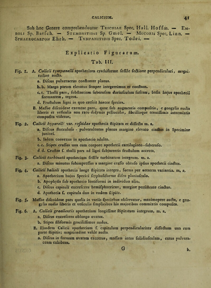 Sub hoc Genere comprehenduntur Trichiae Spec. Hali. Hoffm. — Em- I50LI Sp. Batfch, — SxEMONiTiuiS Sp. Gmel. — Mucoris Spec. Lixin. — Sphaerocarpon Ehrh. — Tympaniticis Spec. Todei. —• Explicatio Figurarum. Tab. nr. Fif. r. A. CaZicfi apothecium cyatliiforme feflilc fc£lIone perpciidicidari, magni, tudiae aiaSta. a. Difcus pulveraceus conftanter planus. ' b. b. Margo parum elevatus femper integerrimus ct conftaiis. c. c. Thalli pars, fubflantiam fuberofam duriufculam fufeam, bafin hujus apothecix formantem, tegeus. tl. Fruftulum ligni in quo crefeit haecce fpecies. B. Maflae difeoideae exemtac pars, quae fub augmentis compofitis, e gongylis nudis liberis et veficulis non raro didyniis pellucidis, fibrillisque tenuiffimis intermixtis compofita videtur. Fig. 2« Calidi hypereW var. rojcidae apothecia fiipitata et diflefla m. a. a. Difcus flocculofo - pulverulentus planus margine elevato cindlus in Specimine juniori. b. Isdem convexus in apothecio adulto. c. c. Stipes crafiiis una cum corpore apotbecii cartilagineo - fuberofo. d. d. Cruftae f. thalli pars ad ligni fubjacentis fruftulum accreta. Fig. 3- Calidi turbinati apothecium feftile turbinatum integrum, m. a. a. Difcus minutus fubimprefiiis a margine craflfo obtnfo ipfius apotbecii cln£lus. Fig, 4. Calidi balioli apothecia longe ftipitata integra, forma per aetatem variantia, m, a, a. Apothecium hujus Speciei fcyphuliforme difeo planiufculo. b. Apophyfis fub apothecio lentiformi in individuo alio. c. Difcus capituli excrefeens hemifphaericus, margine perfiftente cindus. d. Apothecia f. capitula duo in eodem ftipite. Fig. 5* Maflae difeoideae pars qualis in variis fpcciebus obfervatur, maximopere au£Va, e gon- gylis nudis liberis et veftculis fimplicibus his majoribus commixtis compofita. Fig. 6. A. Calidi gradlentis apothecium longillime ftipitatum integrum, m. a. a. Difcus excrefeens oblongo ovatus. b. Stipes filiformis graciliflimus nudus. B. Ejusdem Calicii apothecium f. capitulum perpendicularltcr dilTediiim una cum parte flipitis; magnitudine valde amfta a. Difcus in formam ovatam excretus, maflam intus folidiufculam, extiis pulvera- ccam exhibens. G b.