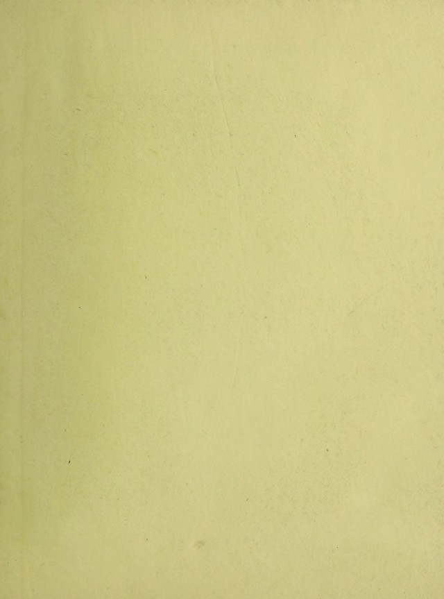digitised image 3