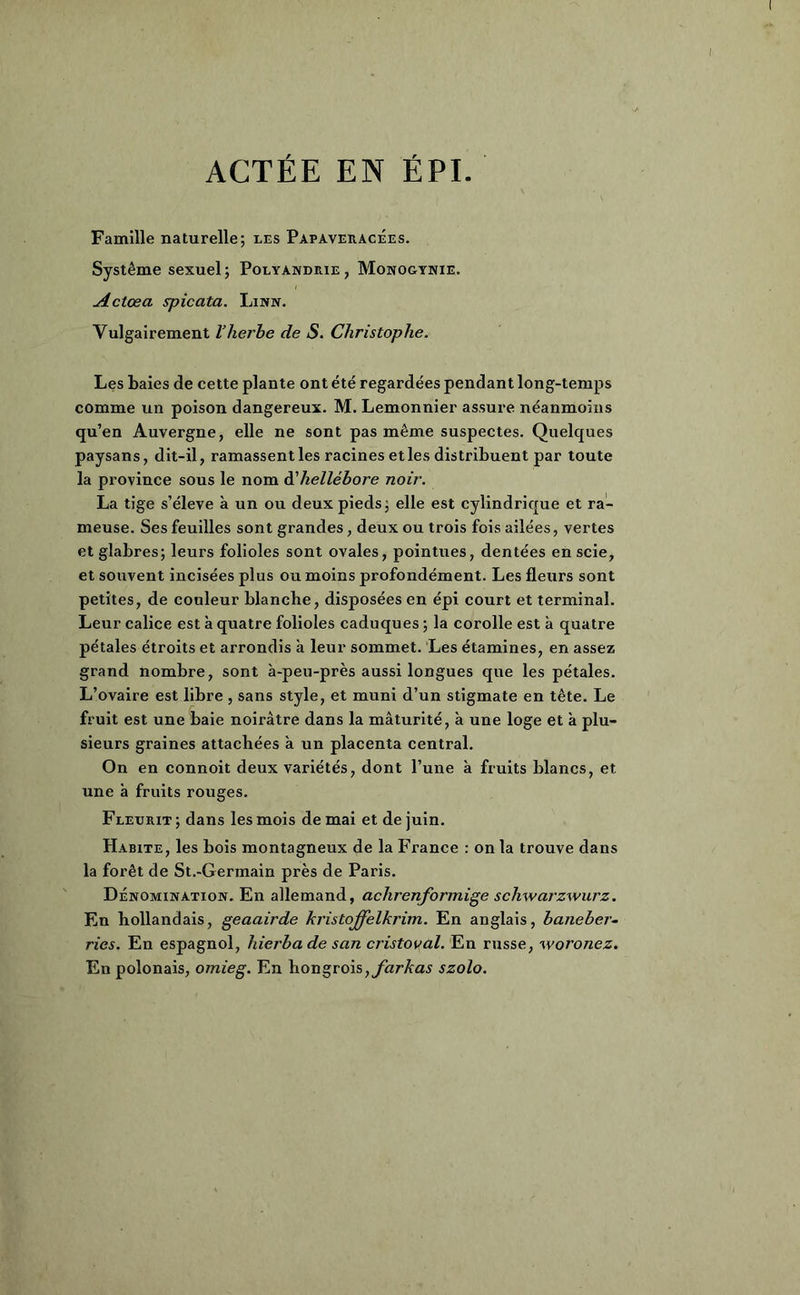 ACTÉE EN ÉPI. Famille naturelle; les Papaveracées. Système sexuel; Polyandrie, Monogynie. Actœa spicata. Linn. Vulgairement l’herbe de S. Christophe. Les baies de cette plante ont été regardées pendant long-temps comme un poison dangereux. M. Lemonnier assure néanmoins qu’en Auvergne, elle ne sont pas même suspectes. Quelques paysans, dit-il, ramassent les racines et les distribuent par toute la province sous le nom d'hellébore noir. La tige s’élève à un ou deux pieds; elle est cylindrique et ra- meuse. Ses feuilles sont grandes, deux ou trois fois ailées, vertes et glabres; leurs folioles sont ovales, pointues, dentées en scie, et souvent incisées plus ou moins profondément. Les fleurs sont petites, de couleur blanche, disposées en épi court et terminal. Leur calice est à quatre folioles caduques ; la corolle est à quatre pétales étroits et arrondis à leur sommet. Les étamines, en assez grand nombre, sont à-peu-près aussi longues que les pétales. L’ovaire est libre , sans style, et muni d’un stigmate en tête. Le fruit est une baie noirâtre dans la maturité, à une loge et à plu- sieurs graines attachées à un placenta central. On en connoit deux variétés, dont l’une à fruits blancs, et une à fruits rouges. Fleurit ; dans les mois de mai et de juin. Habite, les bois montagneux de la France : on la trouve dans la forêt de St.-Germain près de Paris. Dénomination. En allemand, achrenformige schwarzwurz. En hollandais, geaairde kristoffelkrim. En anglais, baneber- ries. En espagnol, hierbade san cristoval. En russe, woronez. En polonais, omieg. En hongrois, farkas szolo.