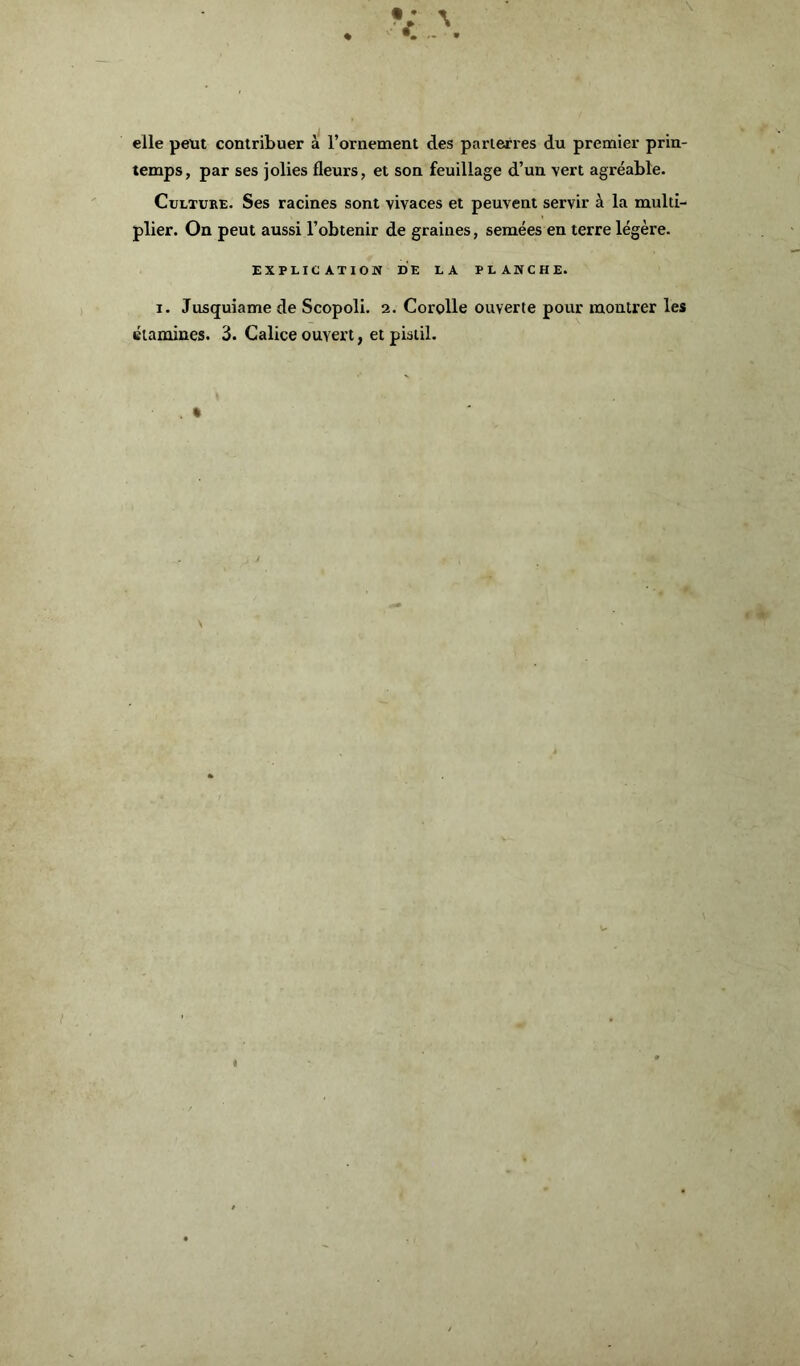 elle peut contribuer à l’ornement des parterres du premier prin- temps, par ses jolies fleurs, et son feuillage d’un vert agréable. Culture. Ses racines sont vivaces et peuvent servir à la multi- plier. On peut aussi l’obtenir de graines, semées en terre légère. EXPLICATION DE LA PLANCHE. i. Jusquiame de Scopoli. 2. Corolle ouverte pour montrer les étamines. 3. Calice ouvert, et pistil.