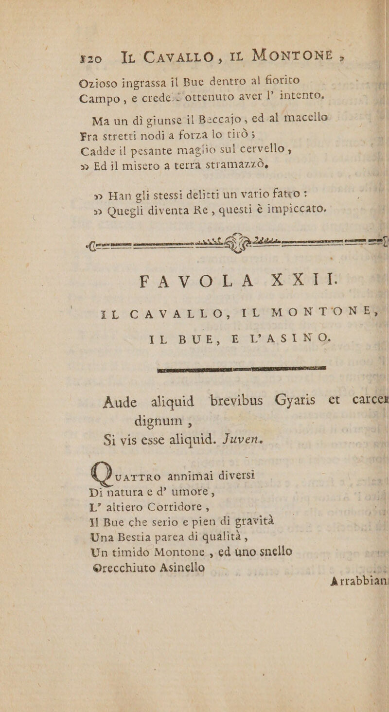 Ozioso ingrassa il Bue dentro al fiorito esi | Campo, e crede.l'ottenuto aver I° intento, I Ma un dì giunse il Beccajo ; ed al macello. Fra stretti nodi a forza lo tirò ; Cadde il pesante maglio sul cervello , &gt;&gt; Ed il misero a terra stramazzò, » Han gli stessi delitti un vario fatto : &gt;» Quegli diventa Re, questi è impiccato. sf fune | Li —_—_mÉmÉm__———m—_m_m_____tm FIA VW-OUE-A:, RR IL'C'AVATITOLITL“M O N TONE i burietAaS4. N (rea SVI CN 0 IE TS Aude aliquid brevibus Gyaris et carcea dignum , Si vis esse aliquid. Juven. vaTTRO annimai diversi Di natura e d’ umore, L’ altiero Cortidore , Il Bue che serio e pien di gravità Una Bestia parea di qualità, Un timido Montone , ed uno snello i @recchiuto Asinello in Arrabbiani