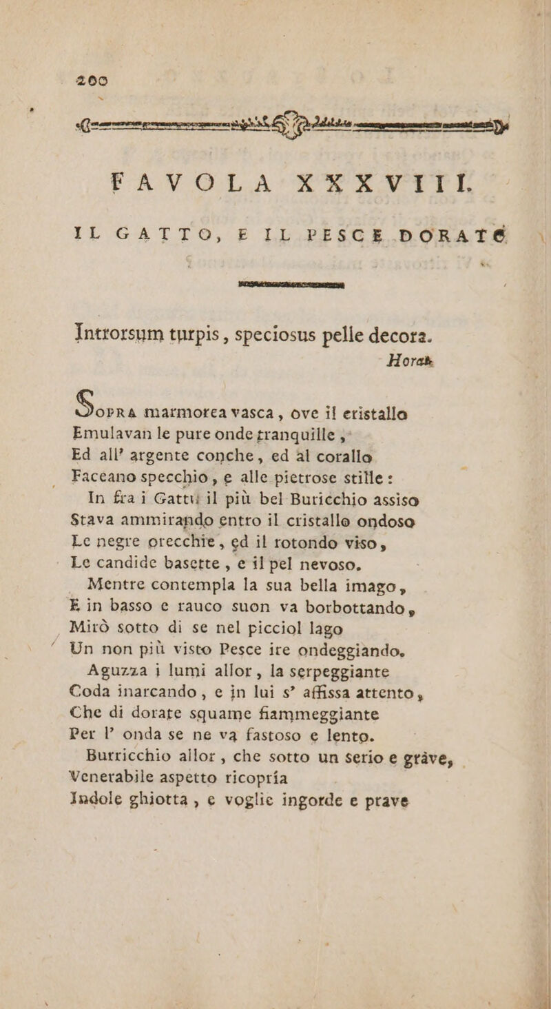 2z00 y FAVOLA 'XXANITTI IL GATTO, E LL.PESCE DORATE &amp; Introrsum tprpis, speciosus pelle decora. Horak Sin marmorea vasca, ove il eristalla Emulavan le pure onde tranquille ; Ed all’ argente conche, ed al corallo Faceano specchio , e alle pietrose stille : In fra i Gatti il più bel Buricchio assiso Stava ammirando entro il cristallo ondoso Le negre orecchie, ed il rotondo viso, Le candide basette, e il pel nevoso. Mentre contempla la sua bella imago, E in basso e rauco suon va borbottando, Mirò sotto di se nel picciol lago Un non più visto Pesce ire ondeggiando, Aguzza i lumi allor, la serpeggiante Coda inarcando , e in lui s’ affissa attento, Che di dorate squame fiammeggiante Per |’ onda se ne va fastoso e lento. Burricchio allor, che sotto un serio e gràve, Venerabile aspetto ricopria Indole ghiotta , e voglie ingorde e prave