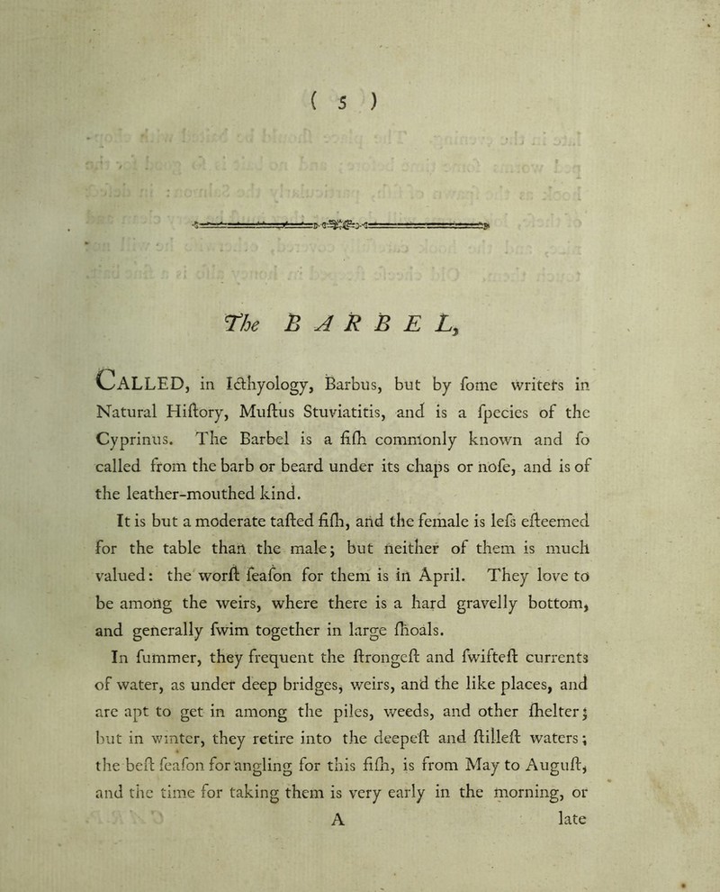 rhe B J R B E L, Called, in IdKyology, Barbus, but by fome writefs in Natural Hillory, Muflus Stuviatitis, and is a fpecies of the Cyprinus. The Barbel is a fifh commonly known and fo called from the barb or beard under its chaps or nofe, and is of the leather-mouthed kind. It is but a moderate tailed filh, and the female is lefs edeemed for the table than the male; but neither of them is much valued: the word feafon for them is in April. They love to be among the weirs, where there is a hard gravelly bottom, and generally fwim together in large fhoals. In dimmer, they frequent the dronged and fwifted currents of water, as under deep bridges, weirs, and the like places, and are apt to get in among the piles, weeds, and other dielter; but in winter, they retire into the deeped and dilled waters; the bed feafon for angling for this fidi, is from May to Augud, and the time for taking them is very early in the morning, or A late