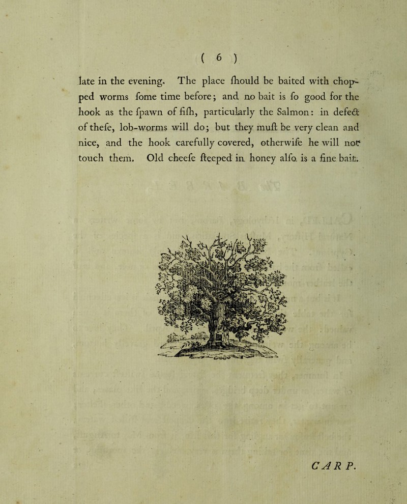 late in the evening. The place ihould be baited with chop^ ped worms fome time before; and no bait is fo good for the hook as the fpawn of fifh, particularly the Salmon: in defeat of thefe, lob-worms will do; but they mufl be very clean and nice, and the hook carefully covered, other wife he will not* touch them. Old cheefe fteeped in honey alfo. is a fine bait.; CAR P.