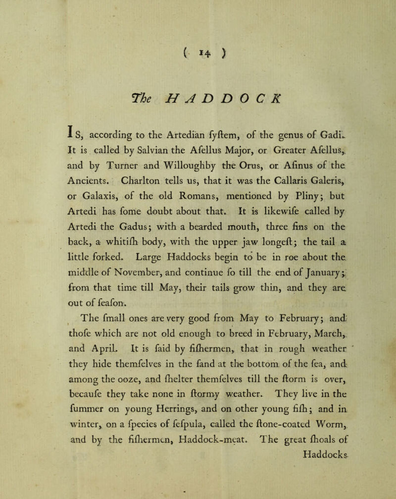 ( 14 ) ^he HADDOCK I S, according to the Artedi'an fyftem, of the genus of Gadi- It is called by Salvian the Afellus Major, or Greater Afellus,. and by Turner and Willoughby the Orus, or Afinus of the Ancients. Charlton tells us, that it was the Callaris Galeris, or Galaxis, of the old Romans, mentioned by Pliny; but Artedi has fome doubt about that. It is likewife called by Artedi the Gadus; with a bearded mouth, three fins on the back, a whitifh body, with the upper jaw longed;; the tail a little forked. Large Haddocks begin to be in roe about the middle of November, and continue fo till the end of January;, from that time till May, their tails grow thin, and they are out of feafon. The fmall ones are very good from May to February; and,' thofe which are not old enough to breed in February, March,, and April. It is faid by fifliermen, that in rough weather they hide themfelves in the fand at the bottorh of the fea, and among the ooze, and fhelter themfelves till the dorm is over, becaufe they take none in dormy weather. They live in the dimmer on young Herrings, and on other young dfh; and in winter, on a fpecies of fefpula, called the done-coated Worm, and by the ddiermcn, Haddock-meat. The great dioals of Haddocks-